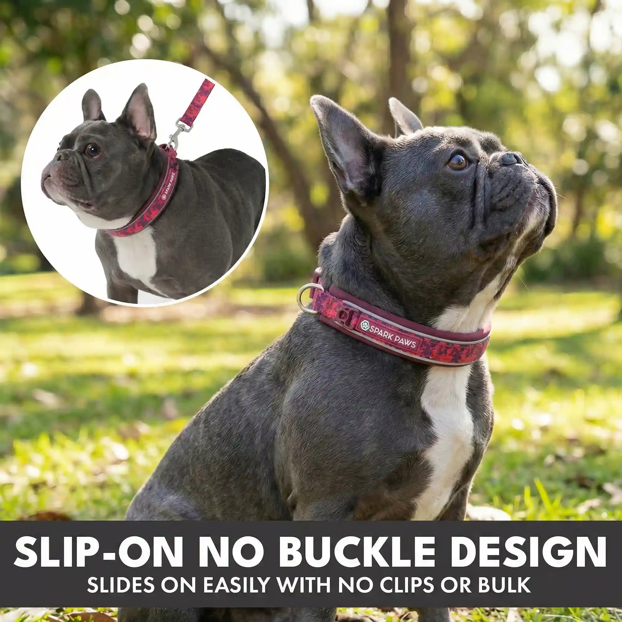 sparkpawsmaut.com
