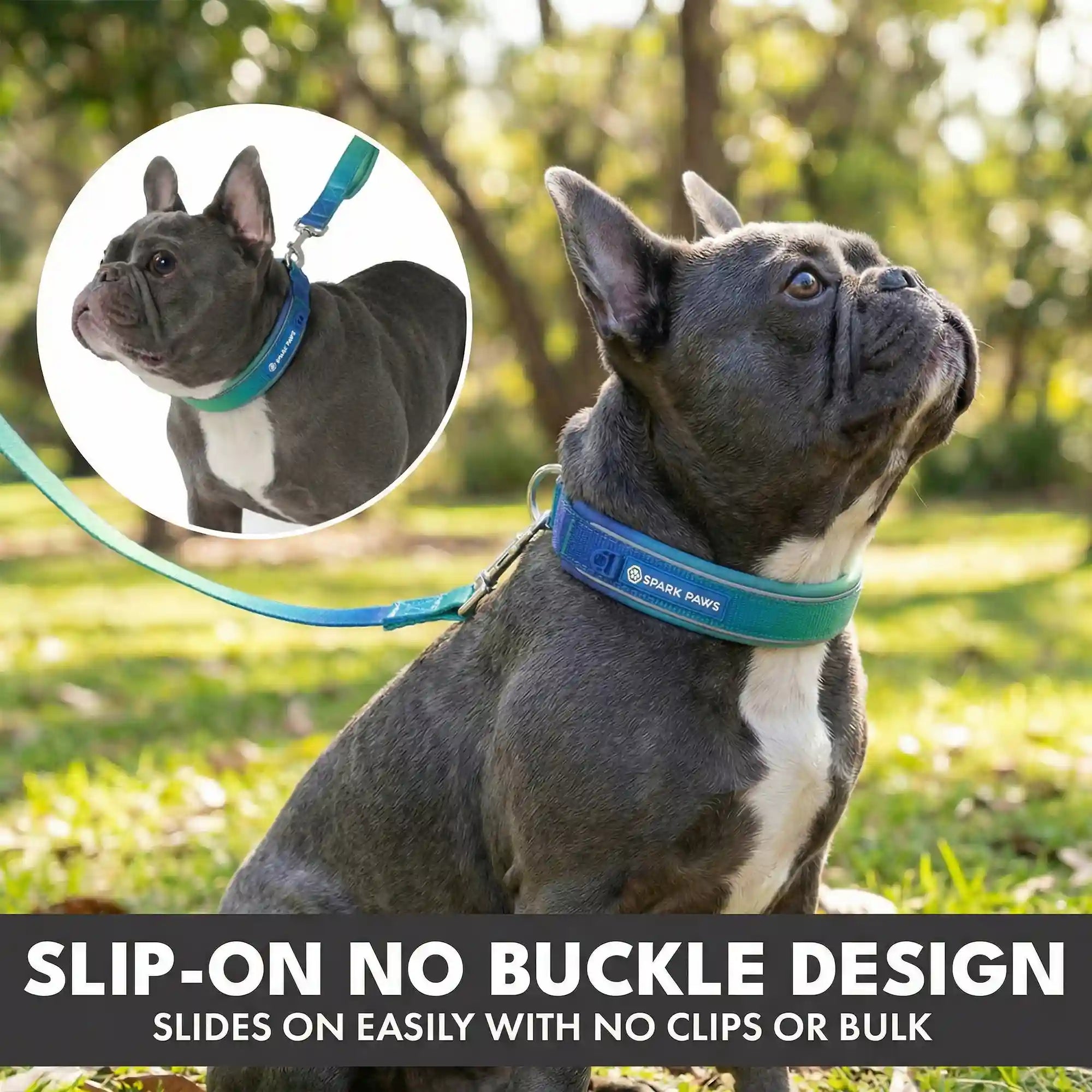 sparkpawsmaut.com