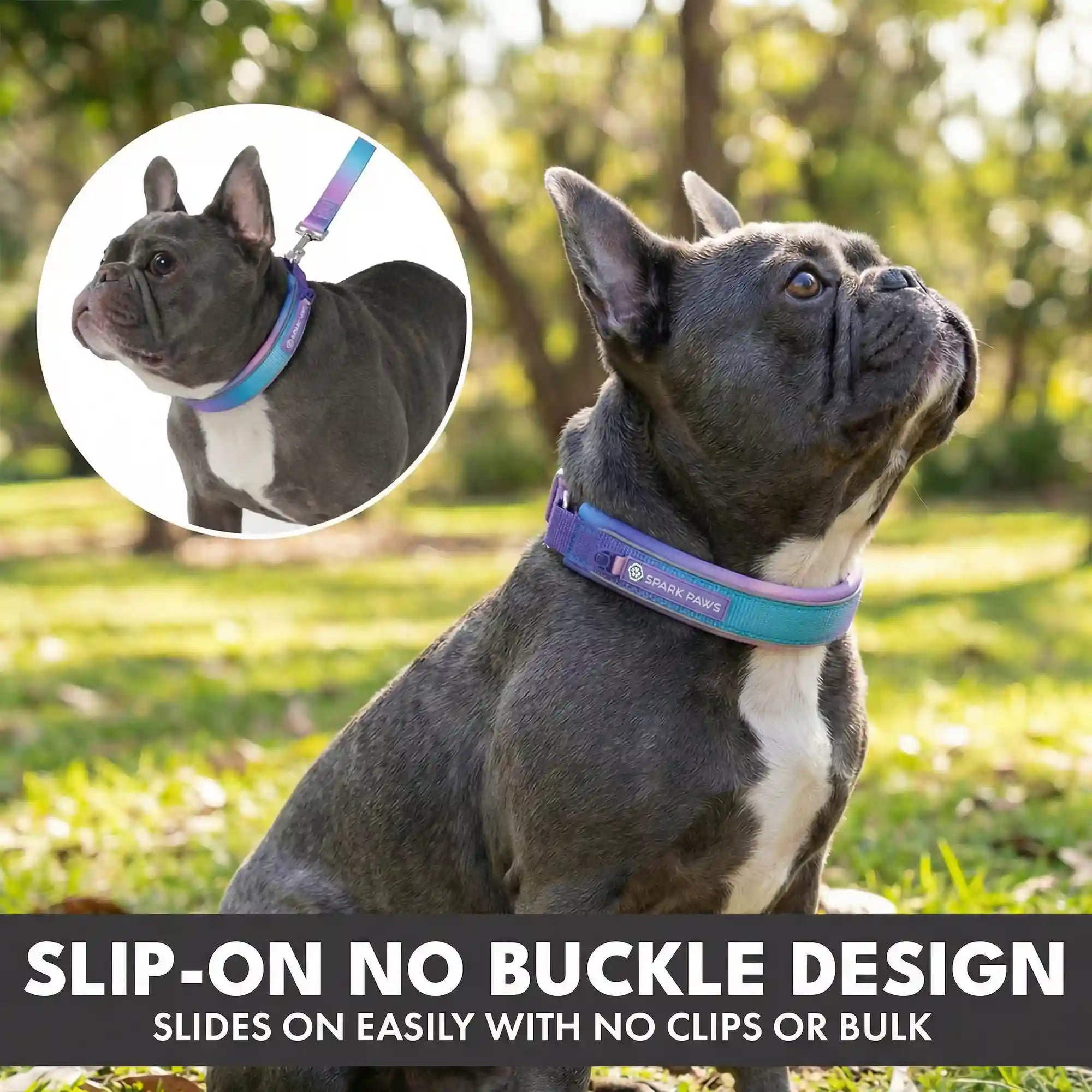 sparkpawsmaut.com