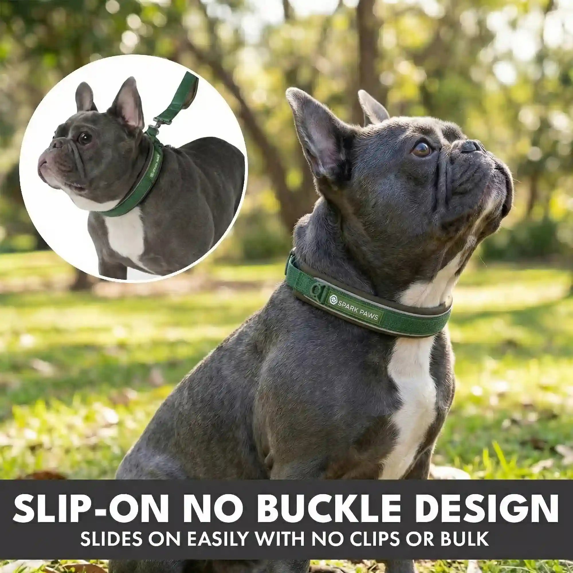 sparkpawsmaut.com