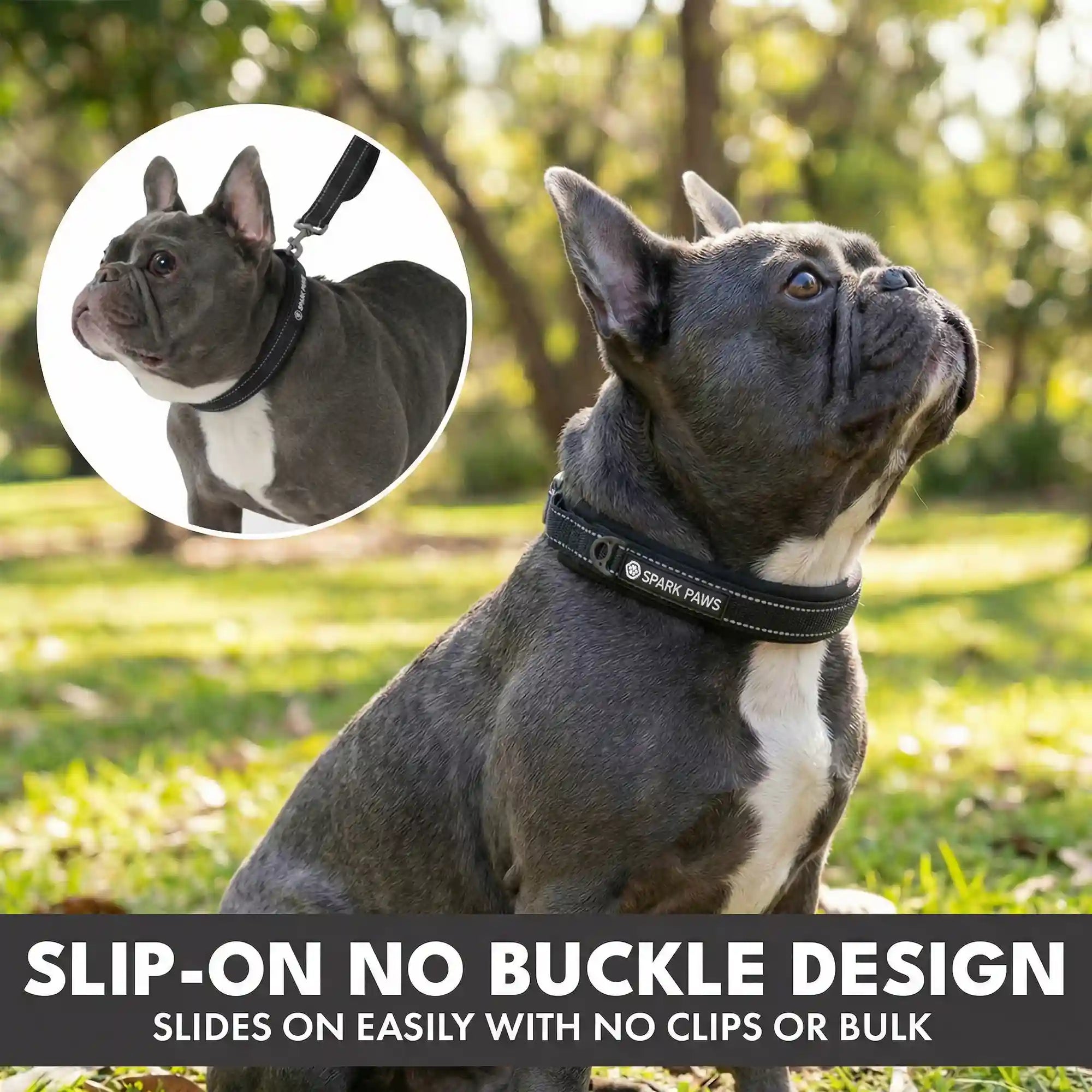 sparkpawsmaut.com