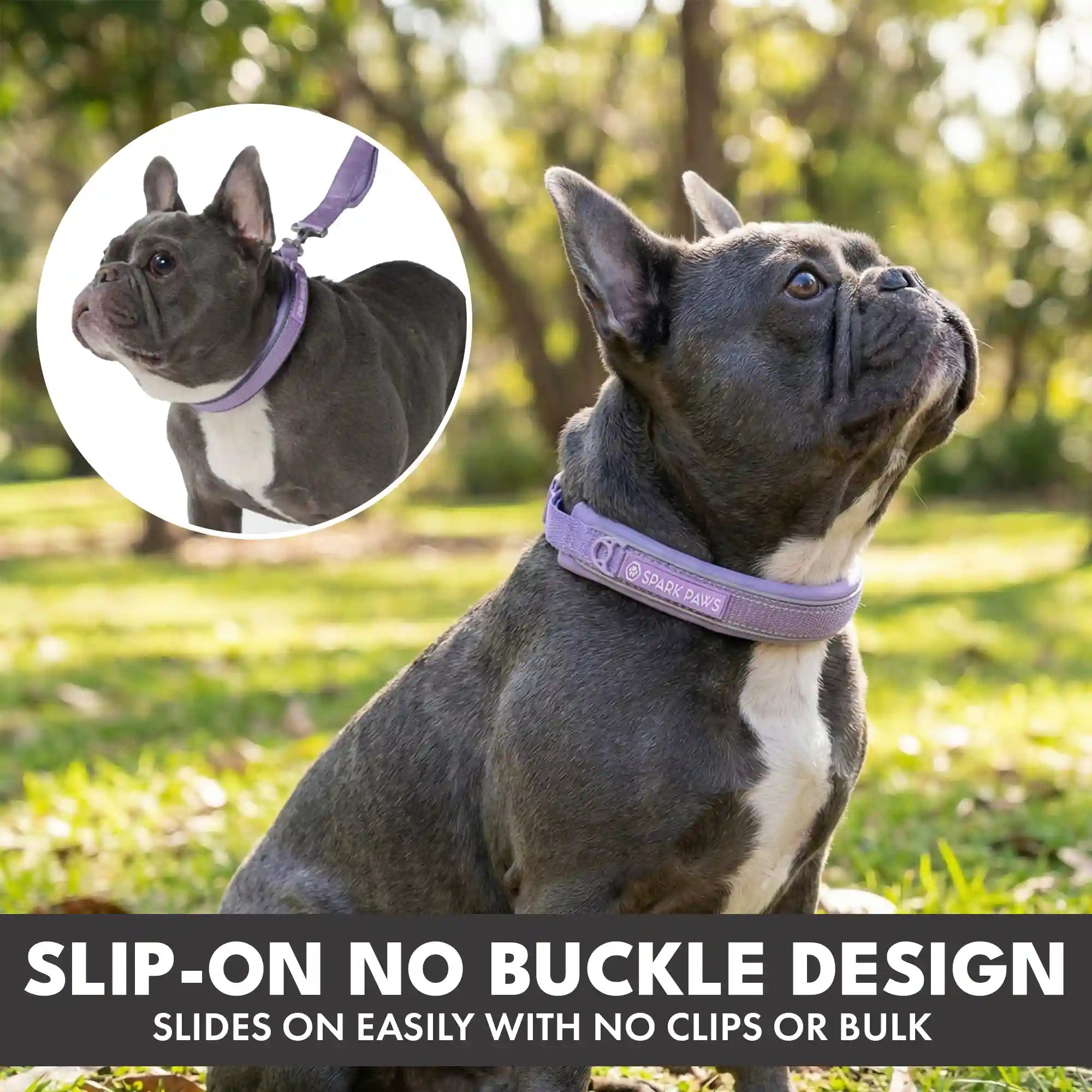 sparkpawsmaut.com