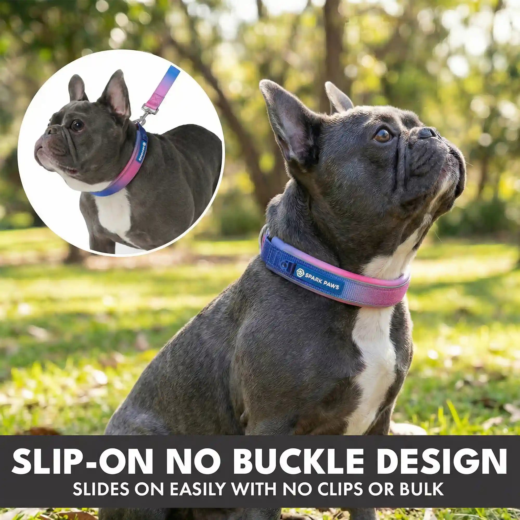 sparkpawsmaut.com