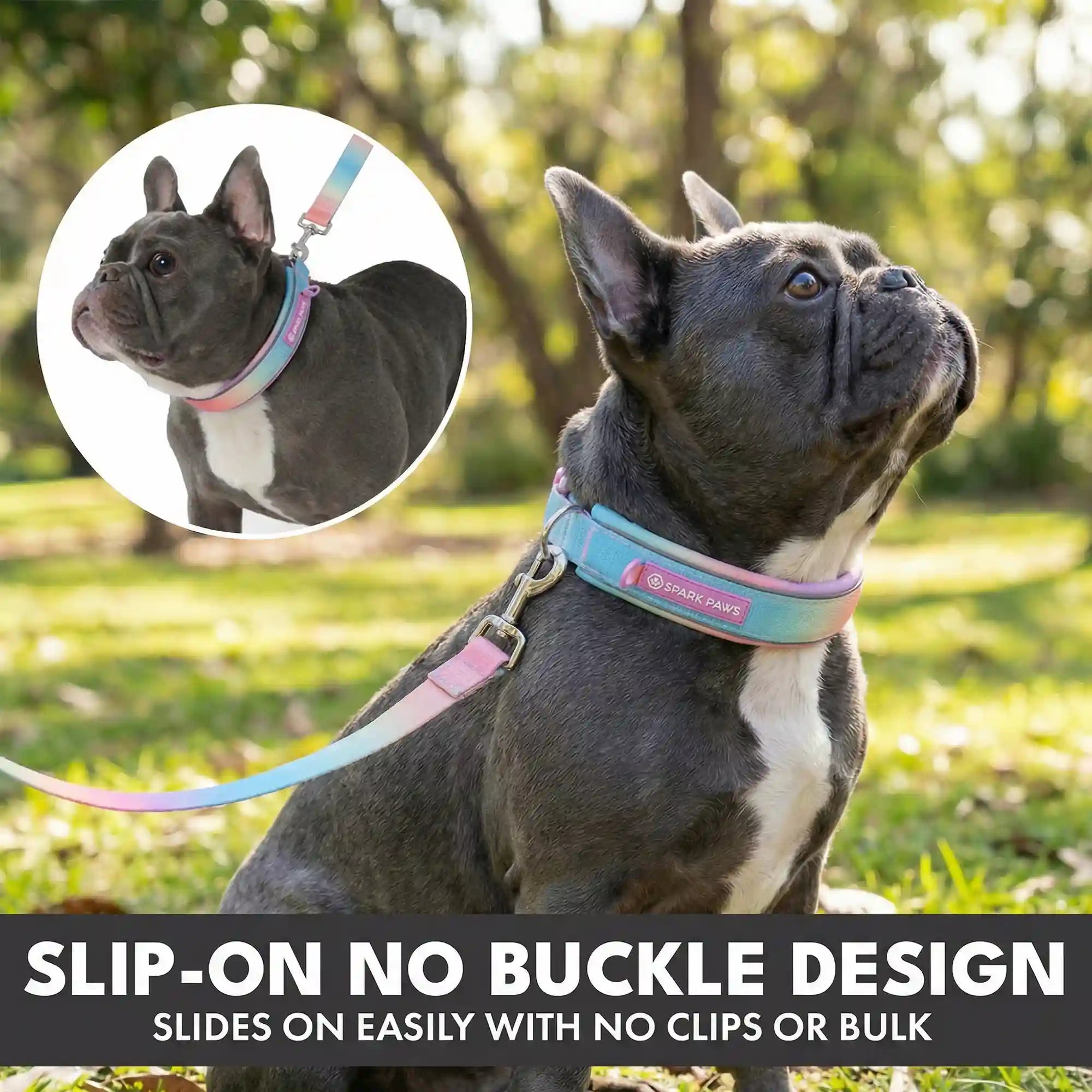 sparkpawsmaut.com
