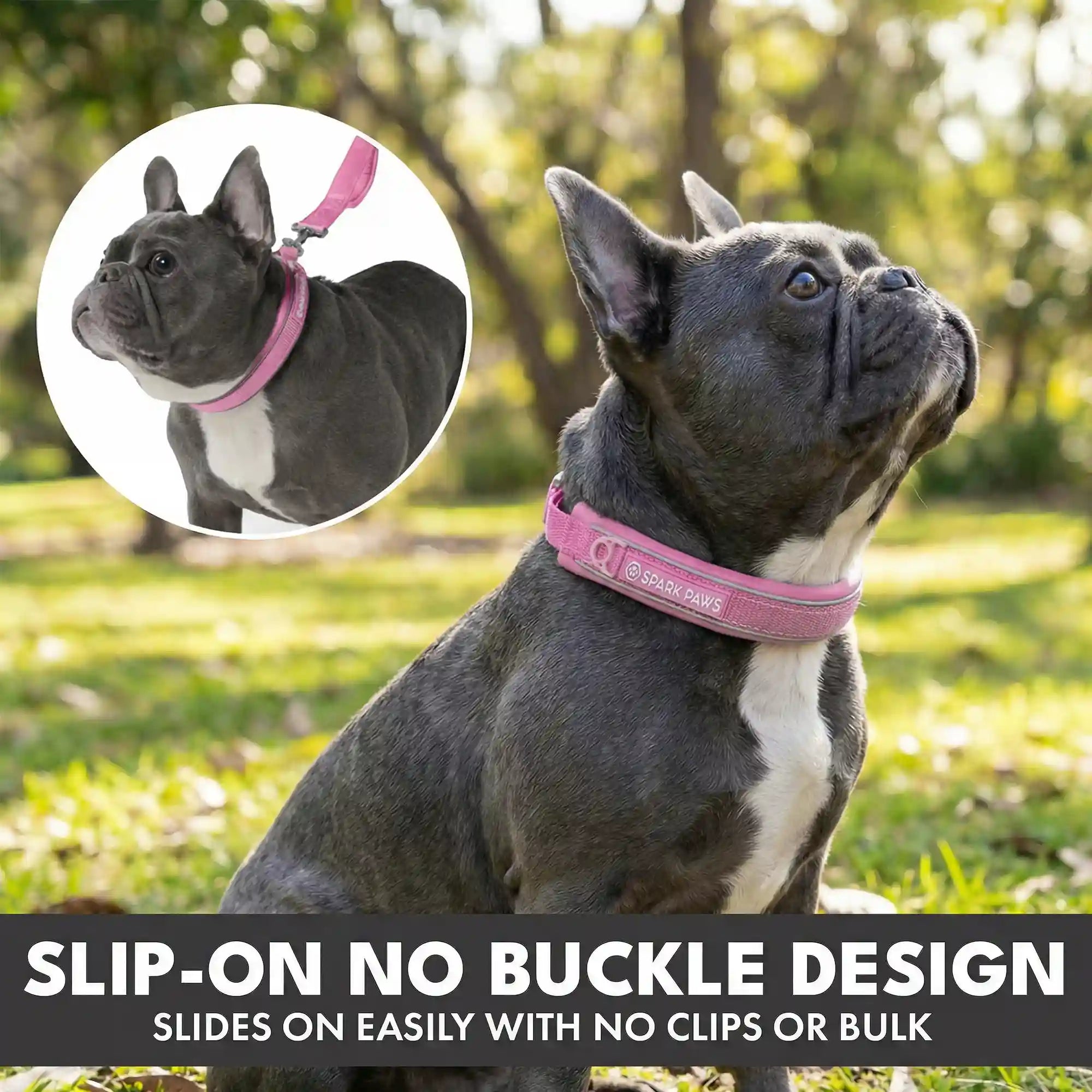 sparkpawsmaut.com