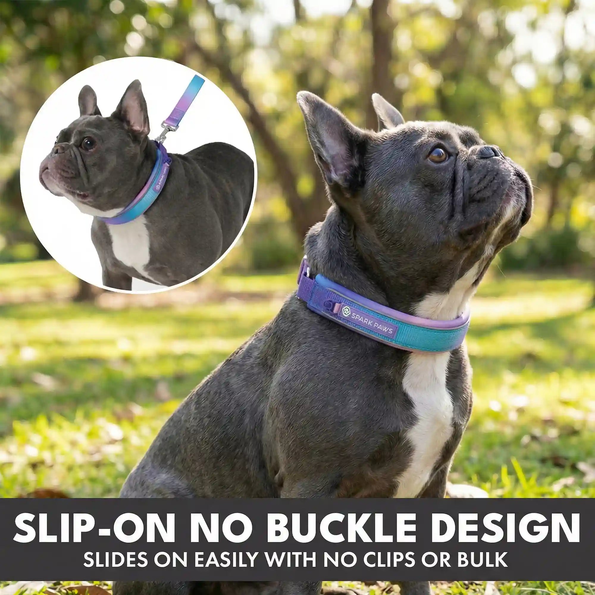 sparkpawsmaut.com