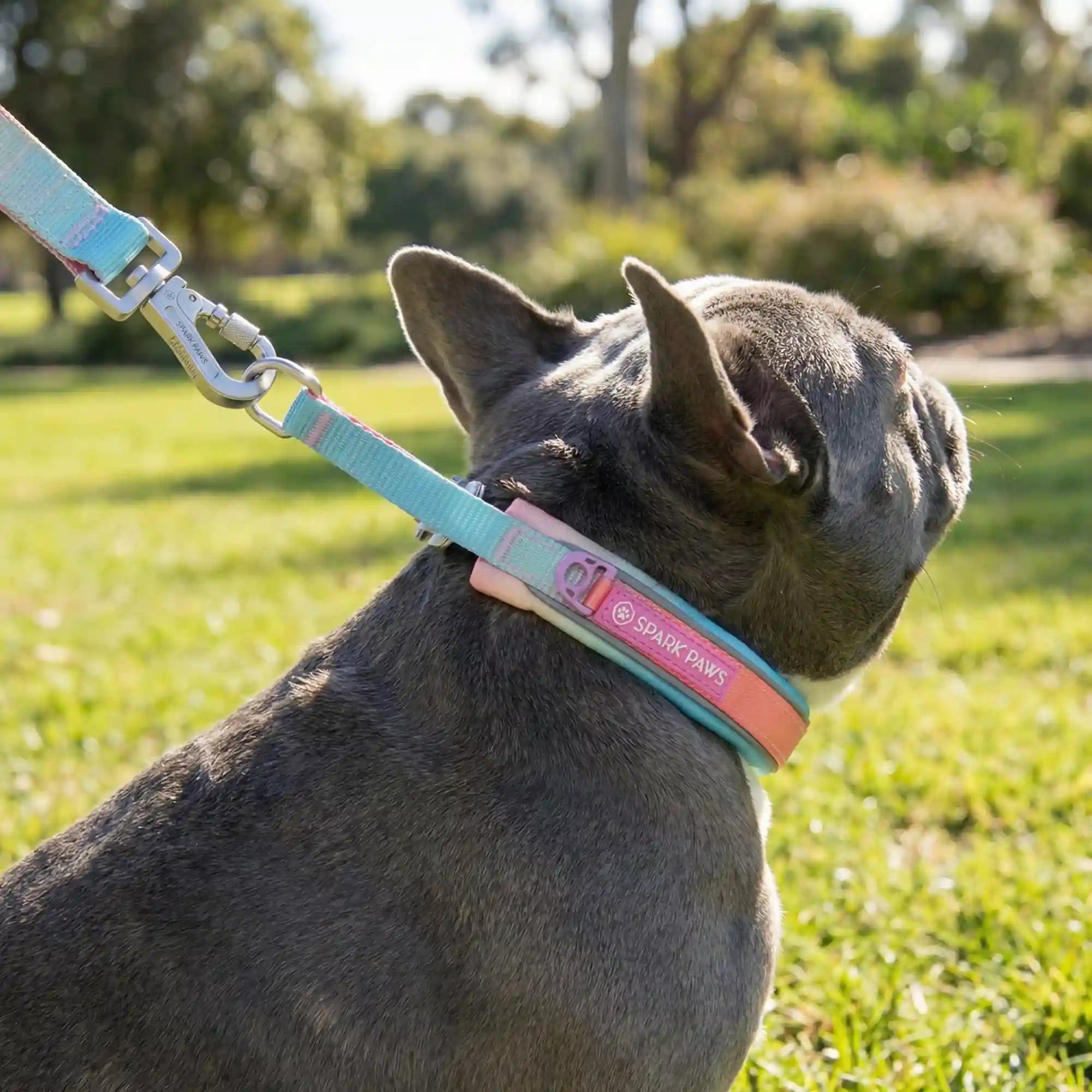 sparkpawsmaut.com