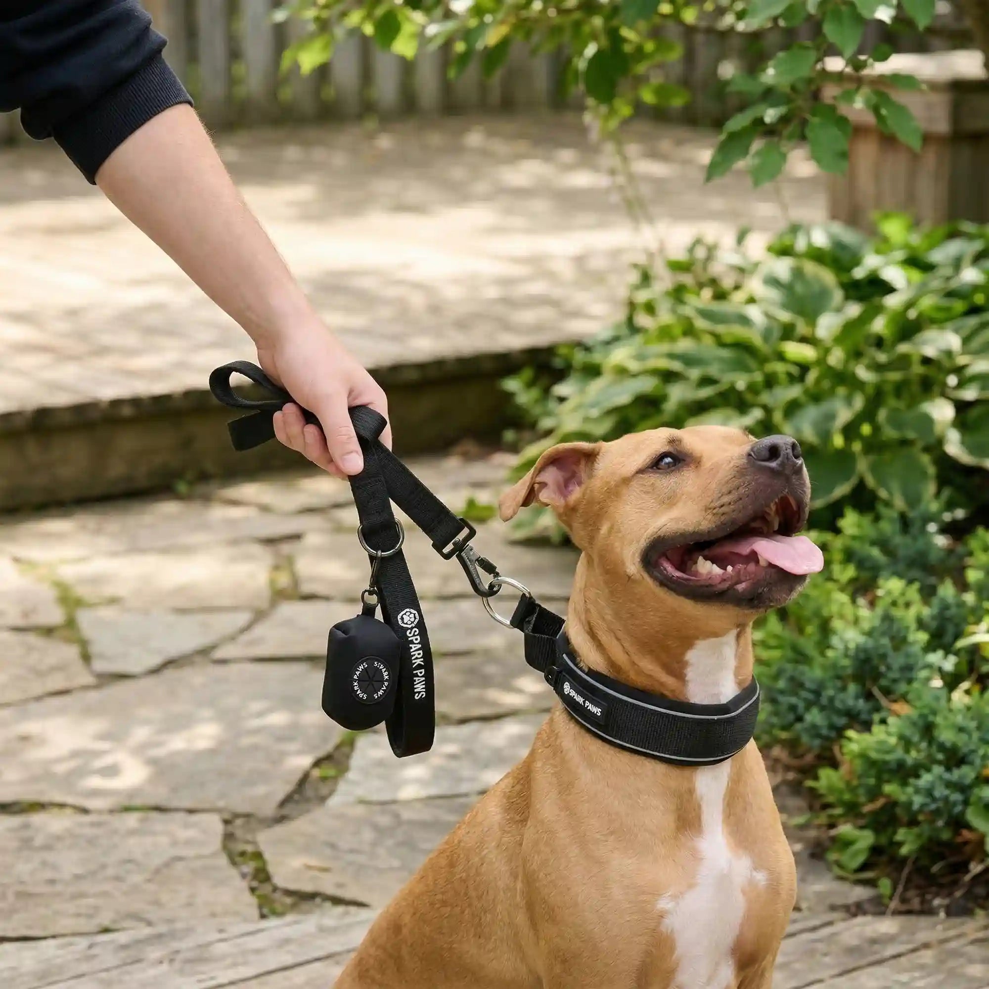 sparkpawsmaut.com