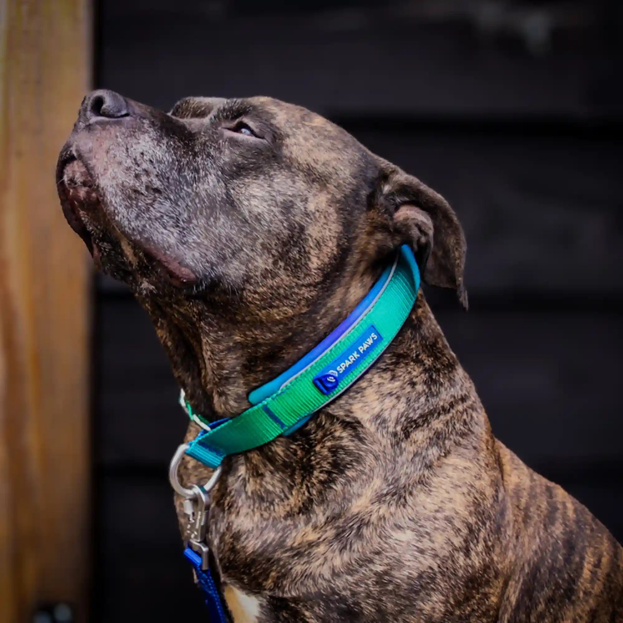 sparkpawsmaut.com