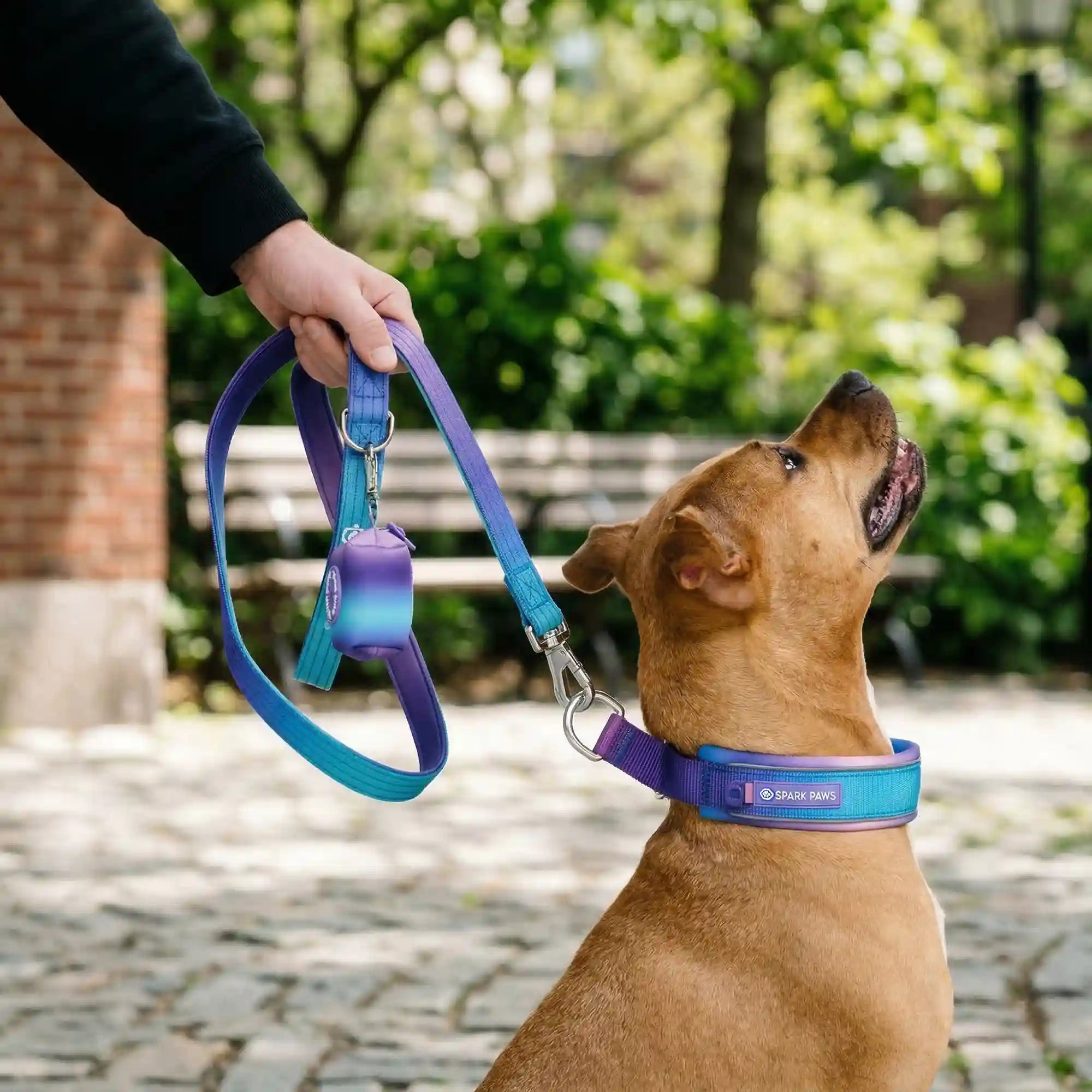 sparkpawsmaut.com