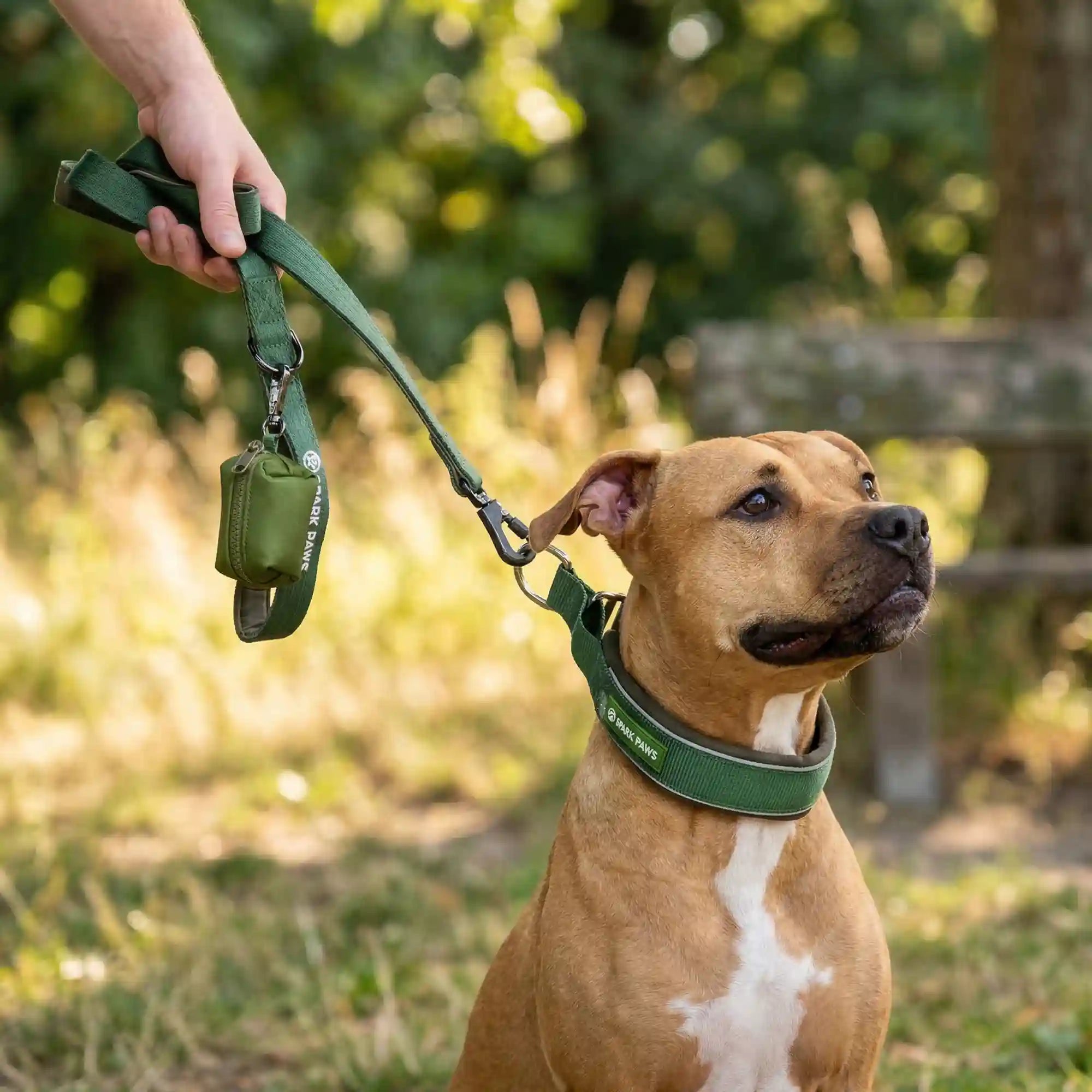 sparkpawsmaut.com