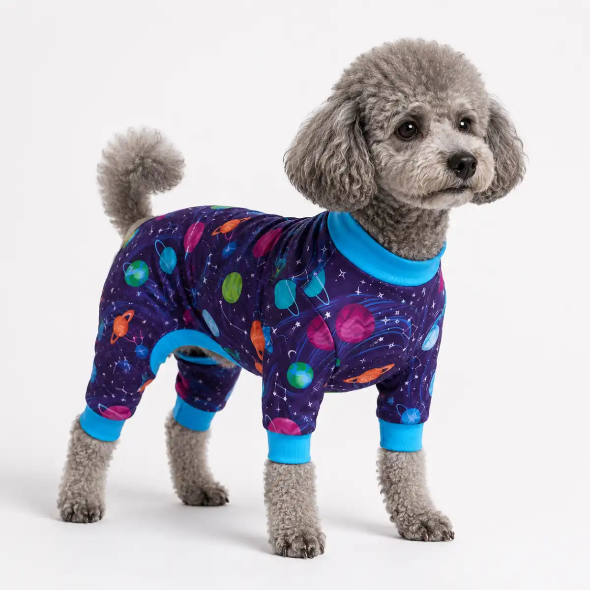 sparkpawsmaut.com