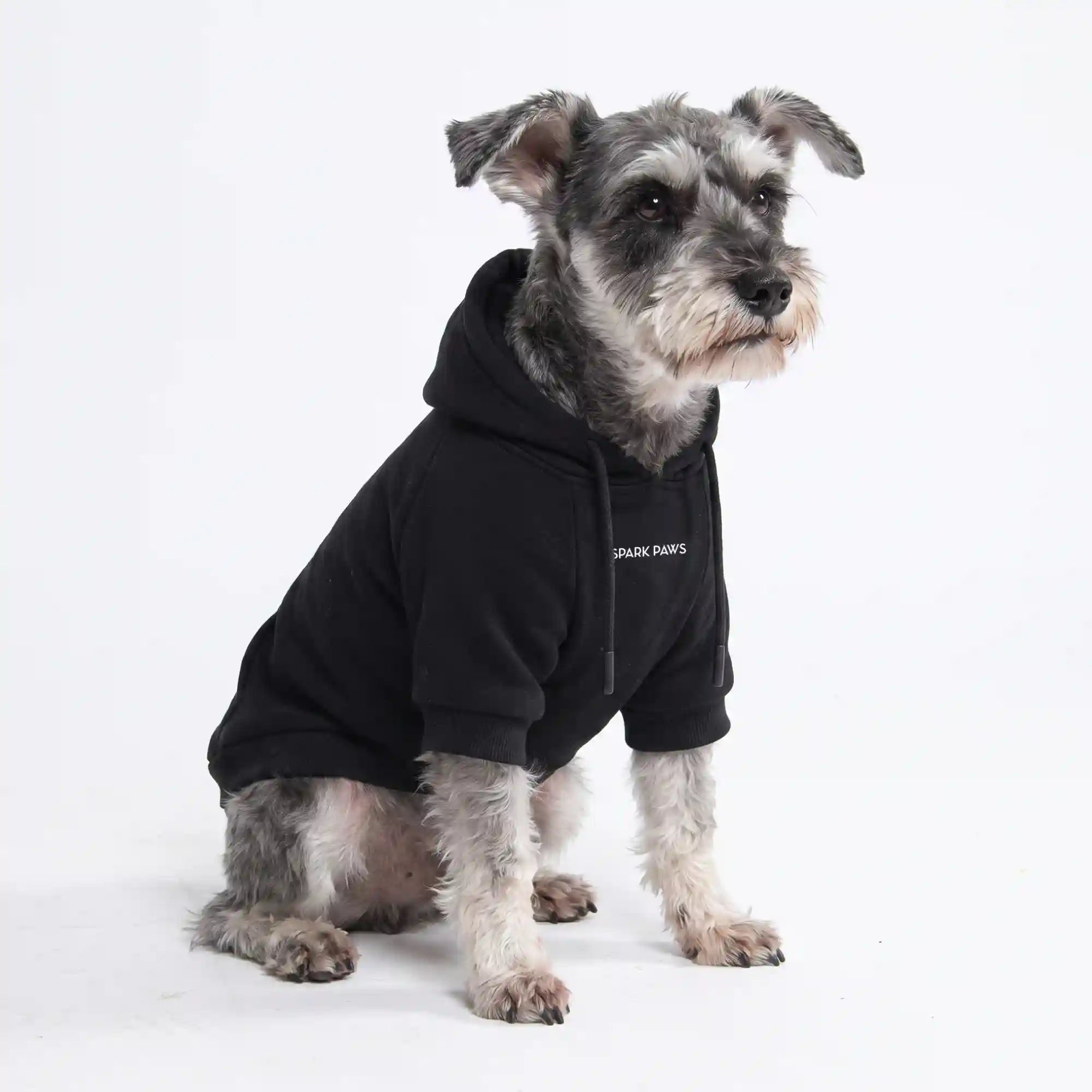 sparkpawsmaut.com