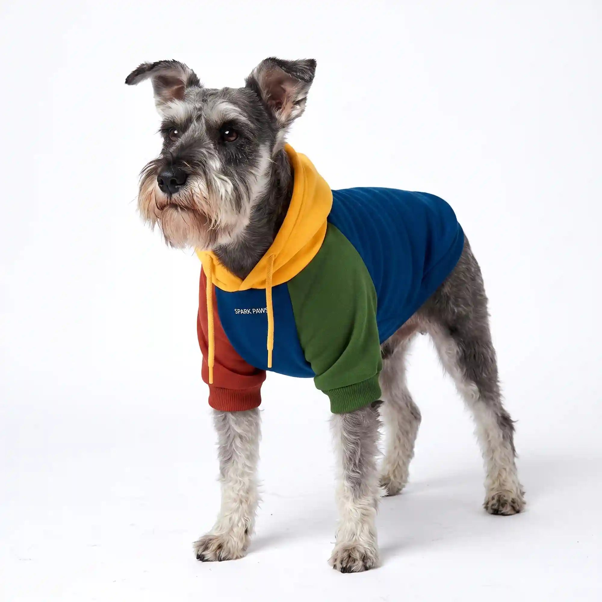 sparkpawsmaut.com