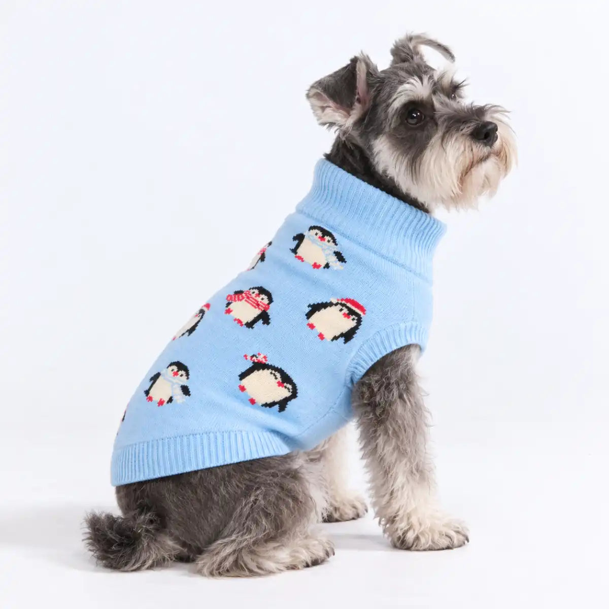 sparkpawsmaut.com