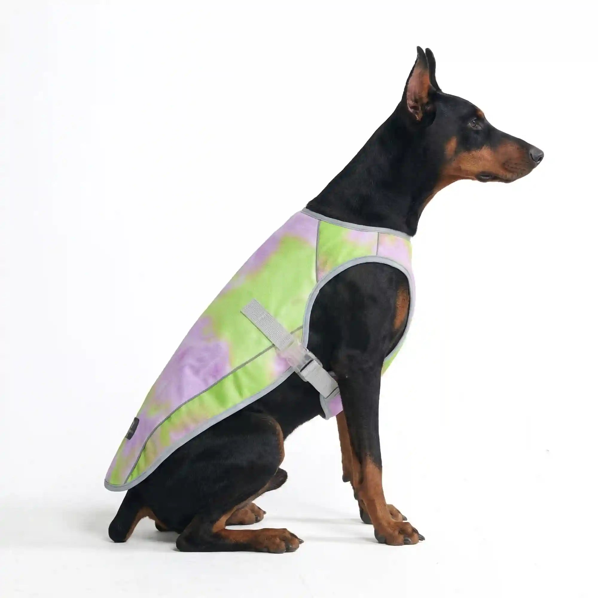 sparkpawsmaut.com