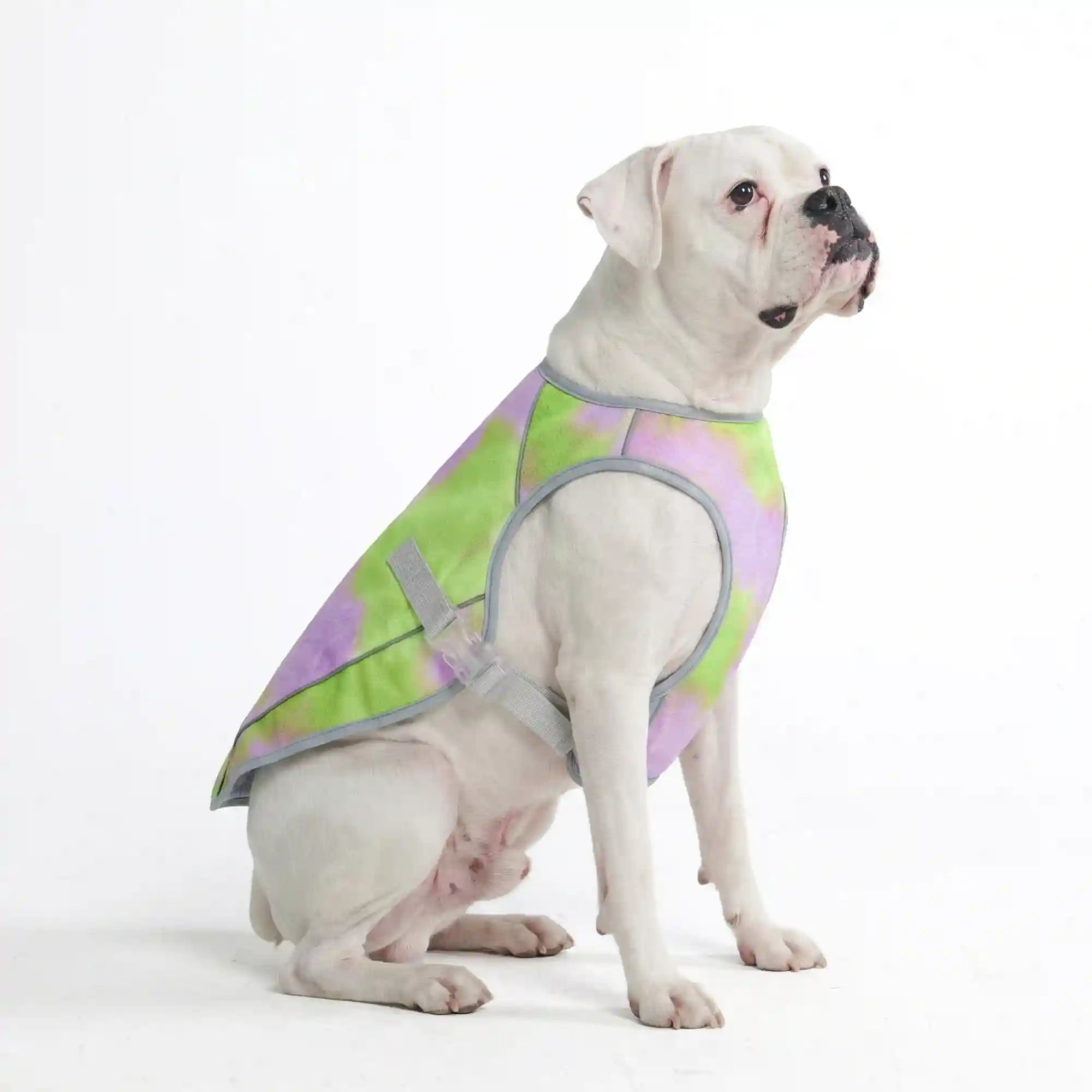 sparkpawsmaut.com