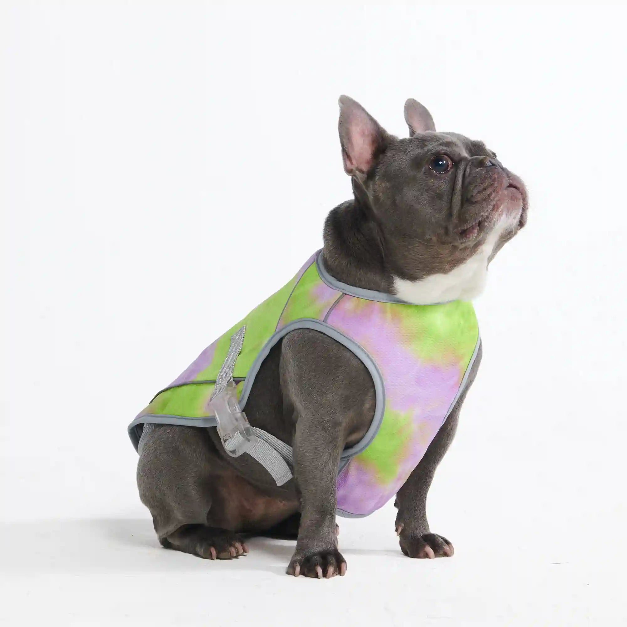 sparkpawsmaut.com