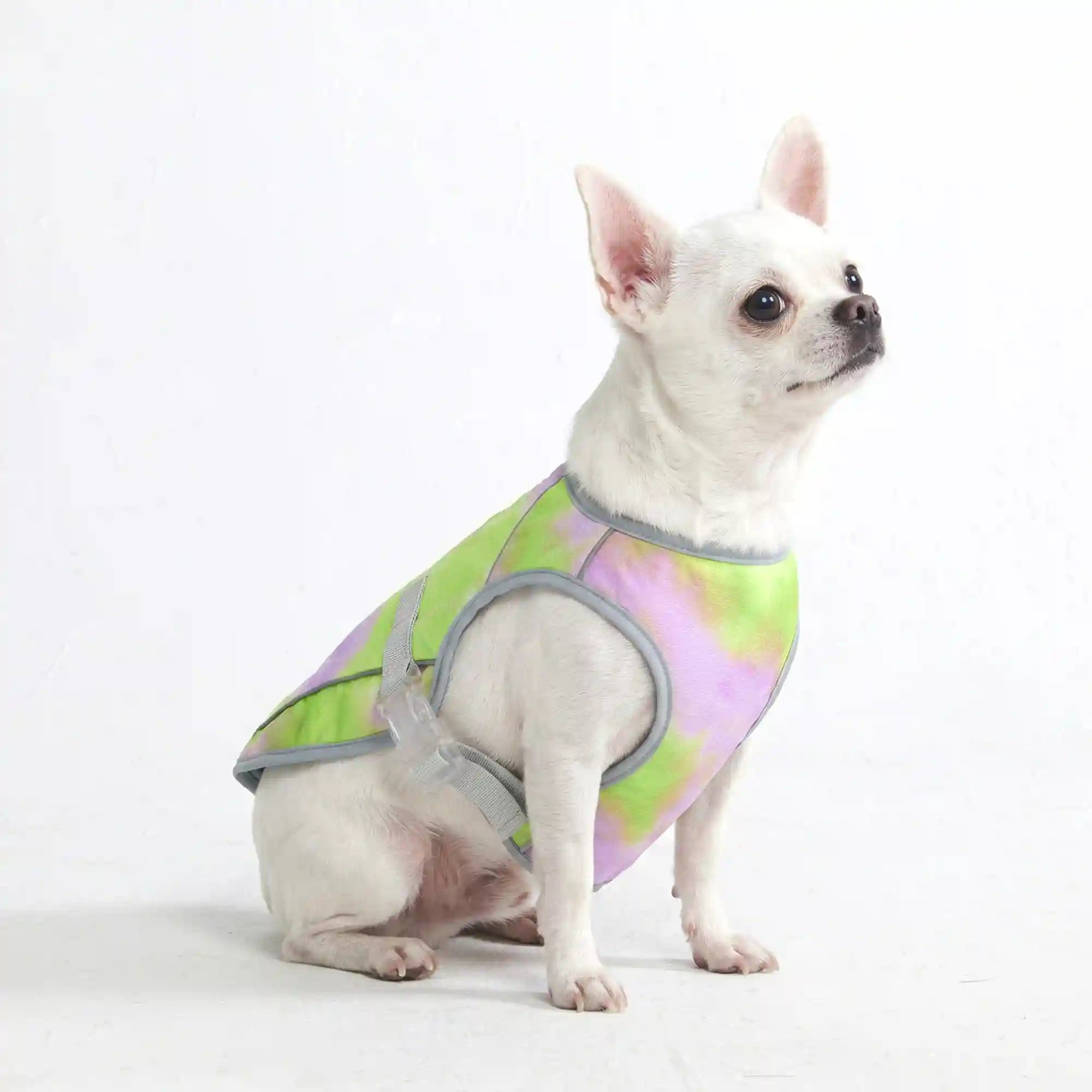 sparkpawsmaut.com