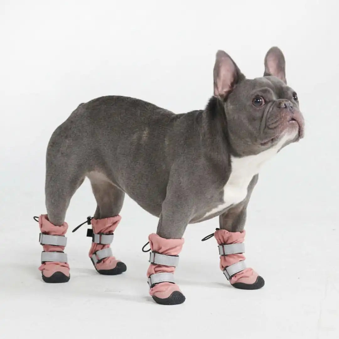 sparkpawsmaut.com