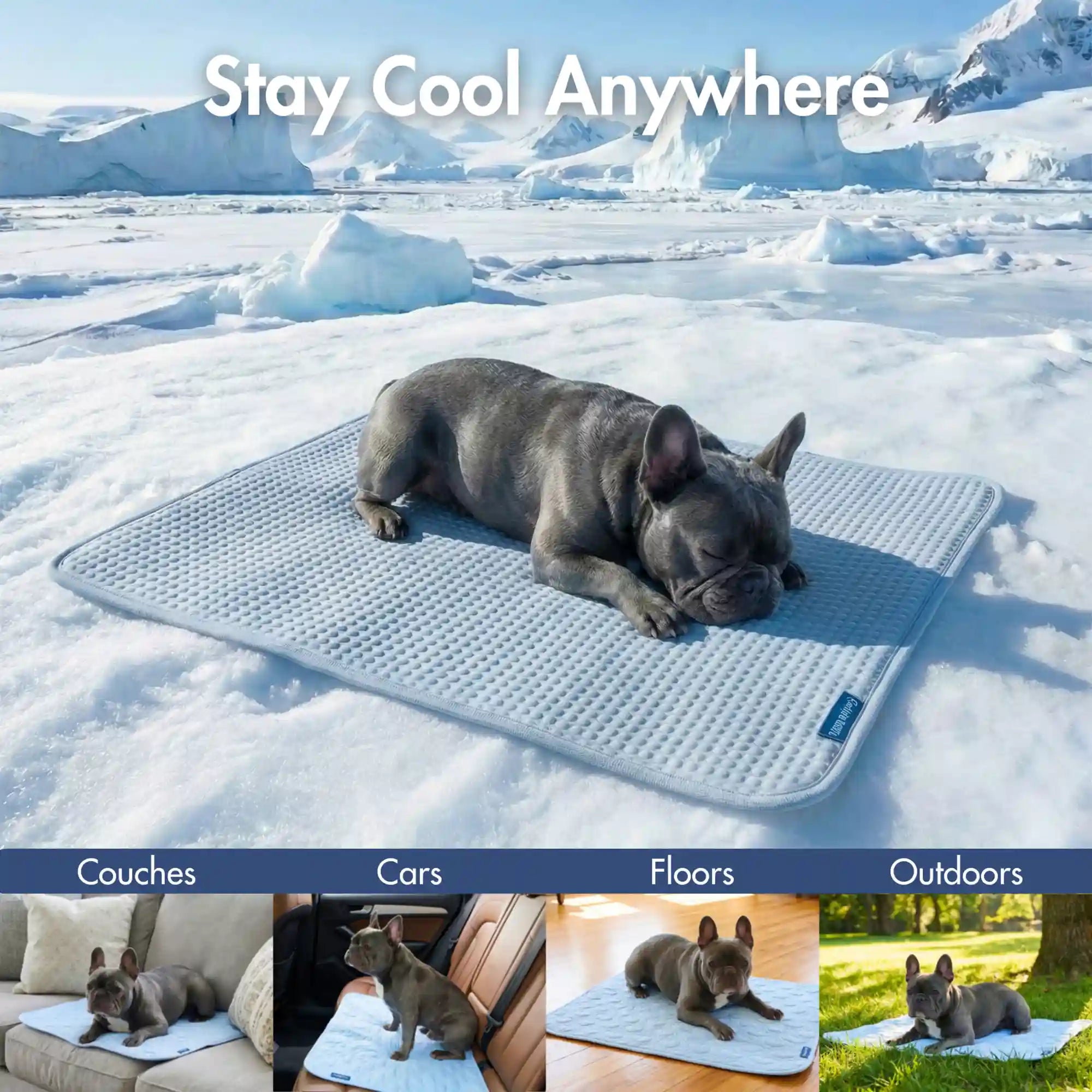 sparkpawsmaut.com