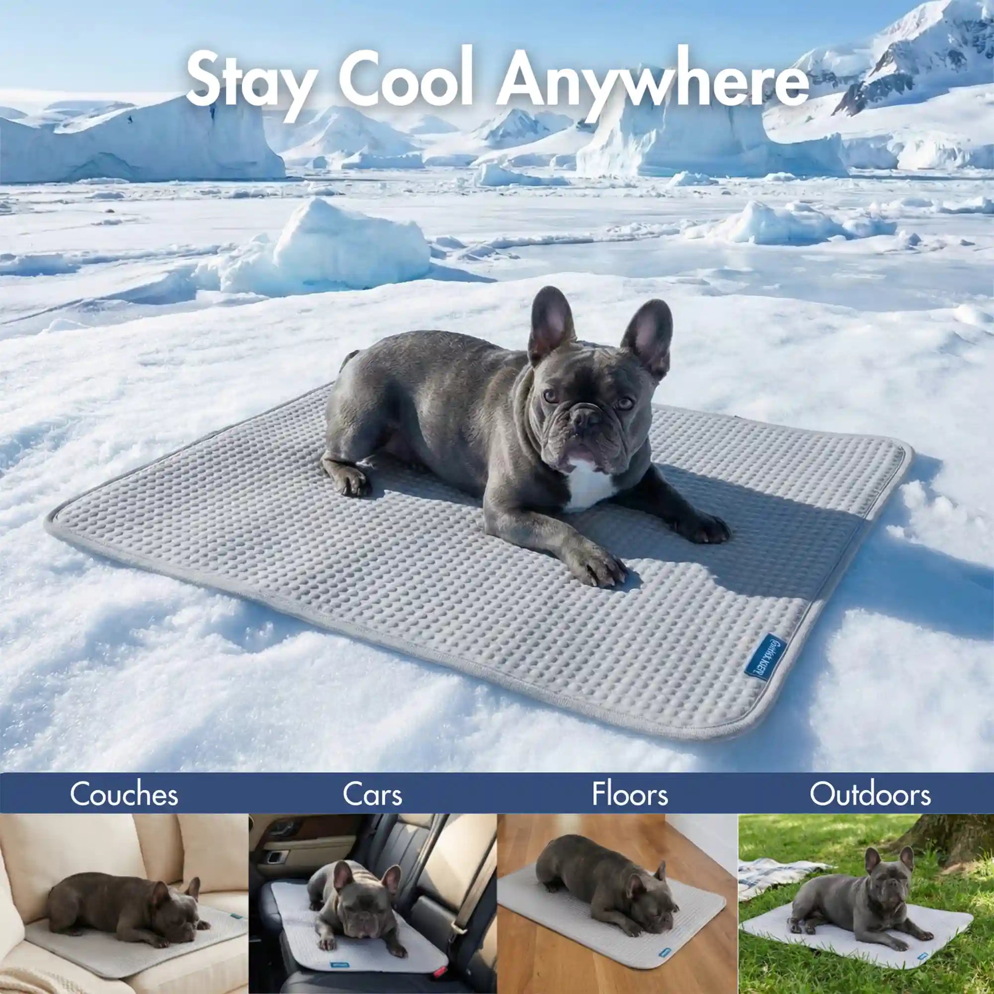 sparkpawsmaut.com