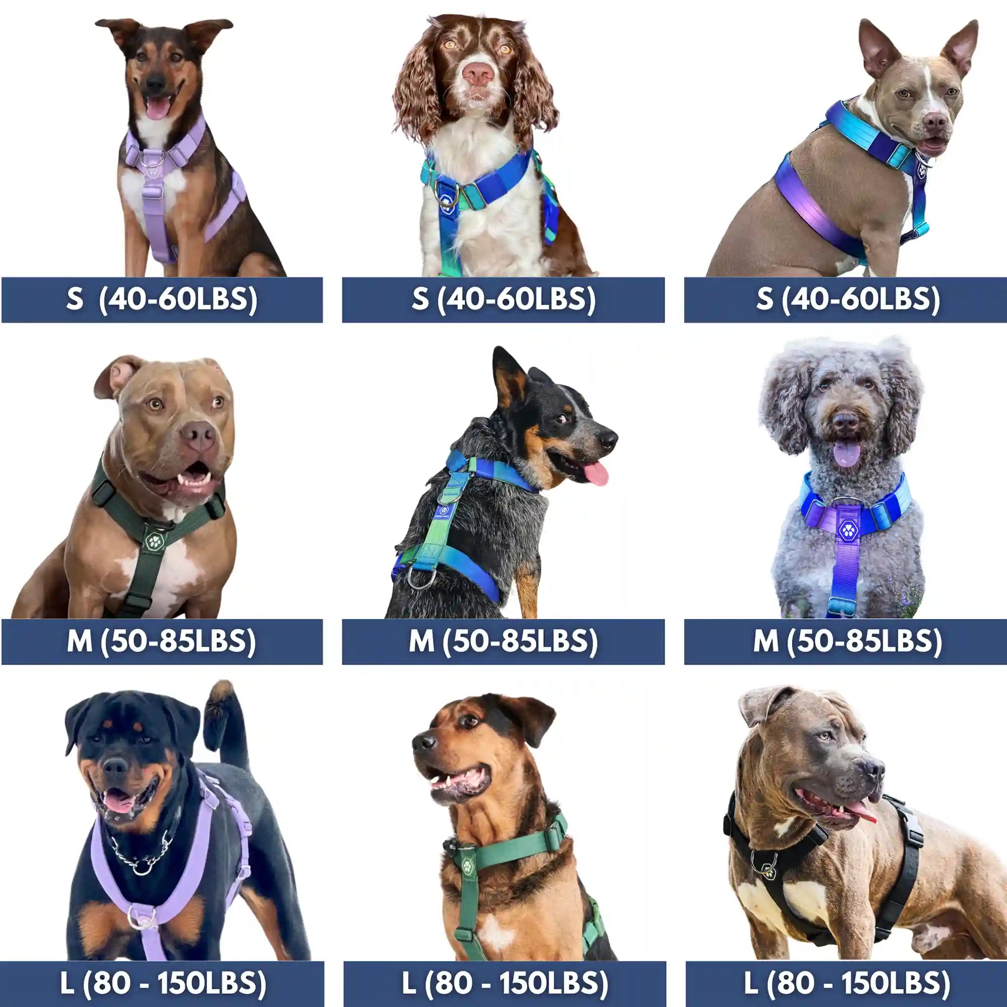 sparkpawsmaut.com