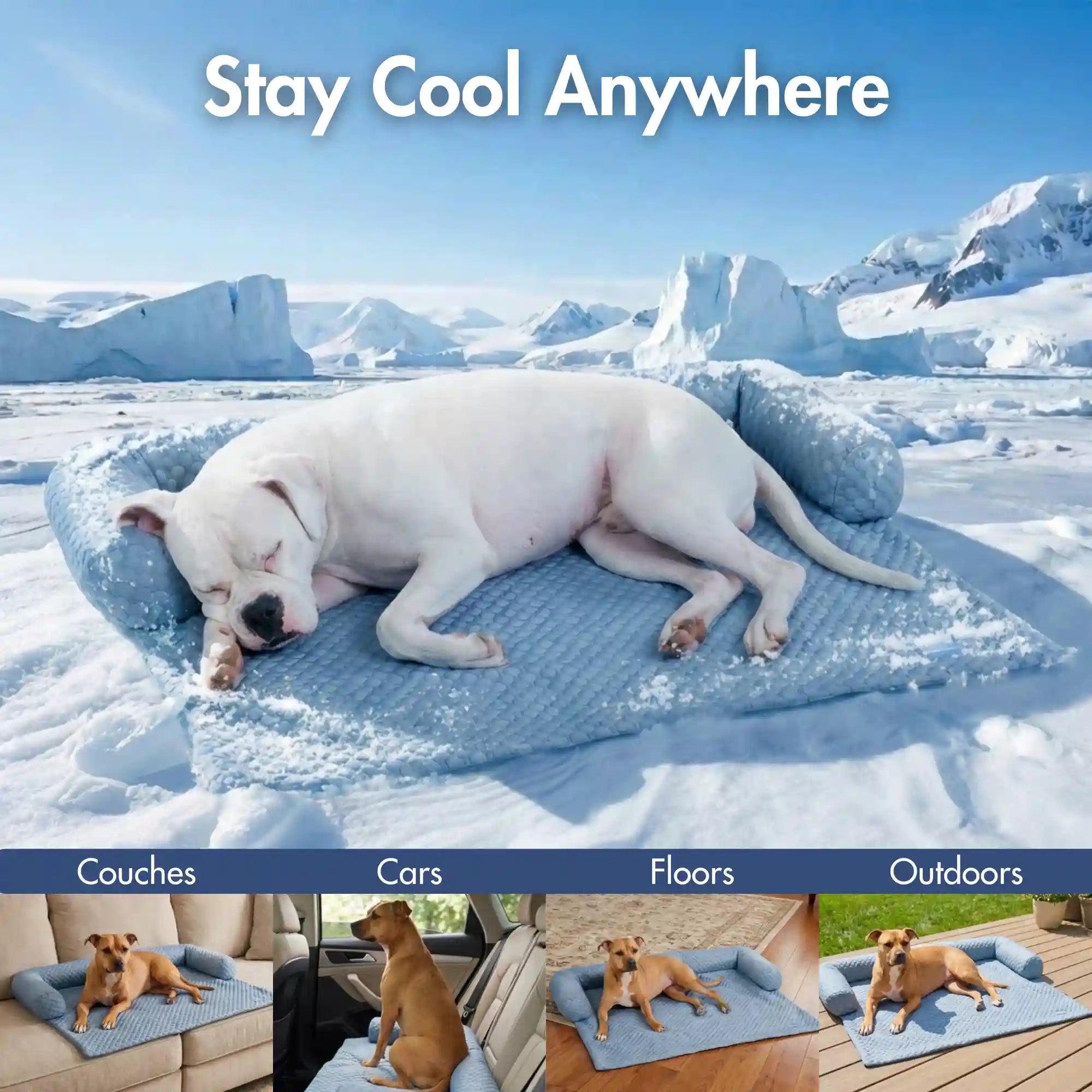 sparkpawsmaut.com