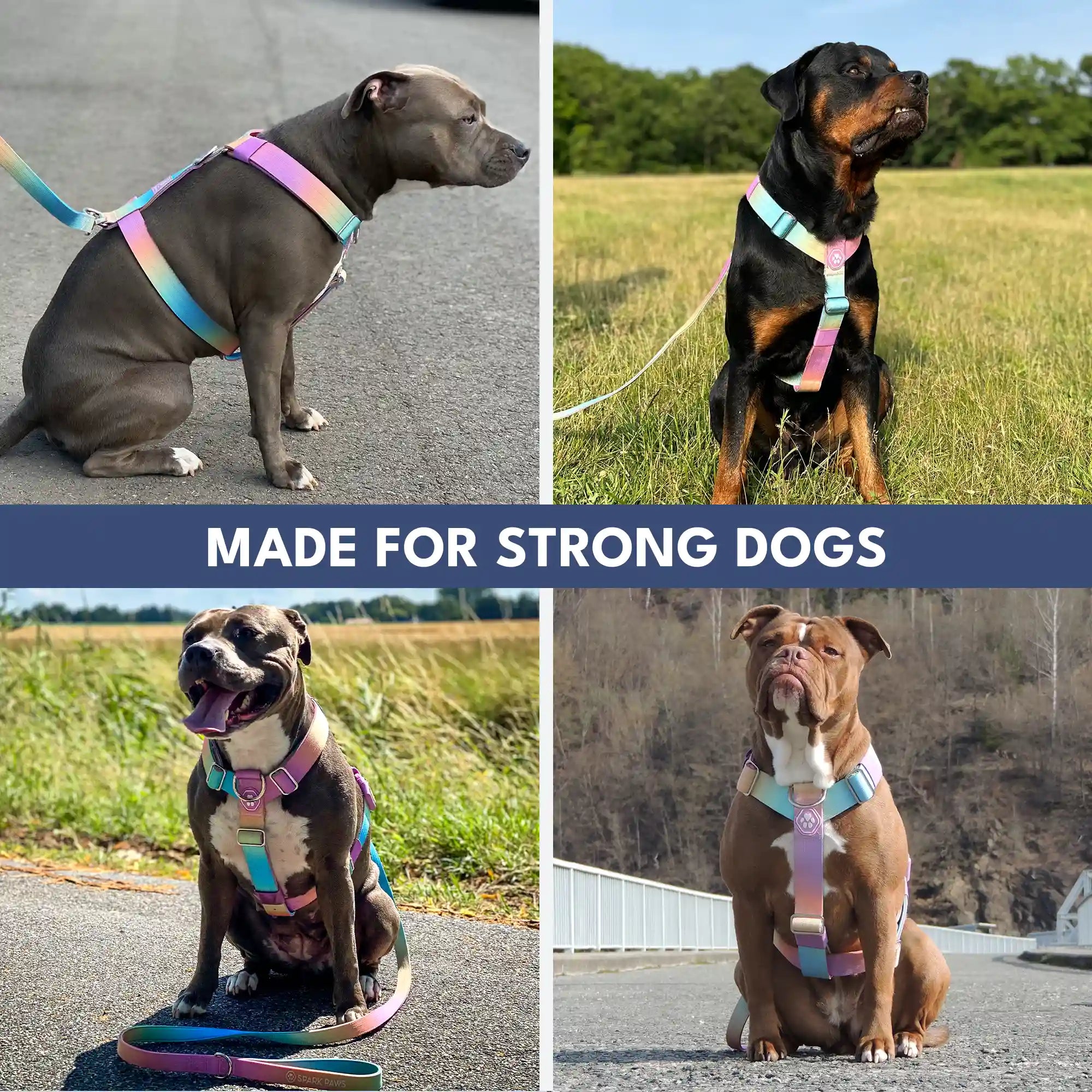 sparkpawsmaut.com