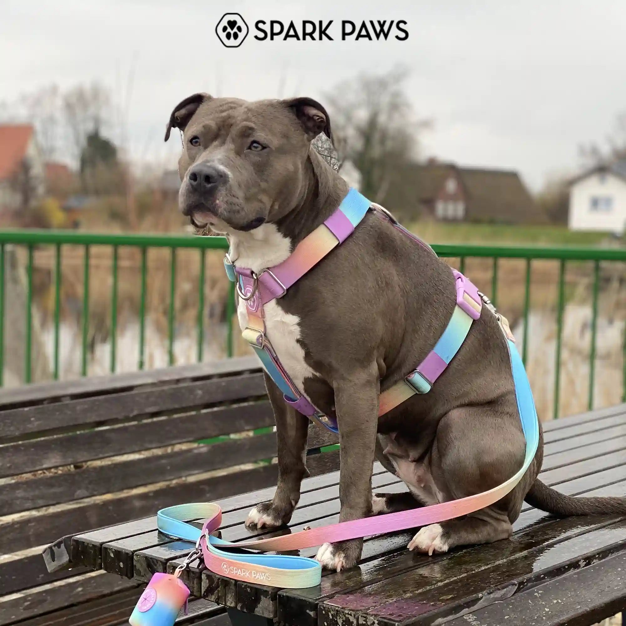 sparkpawsmaut.com