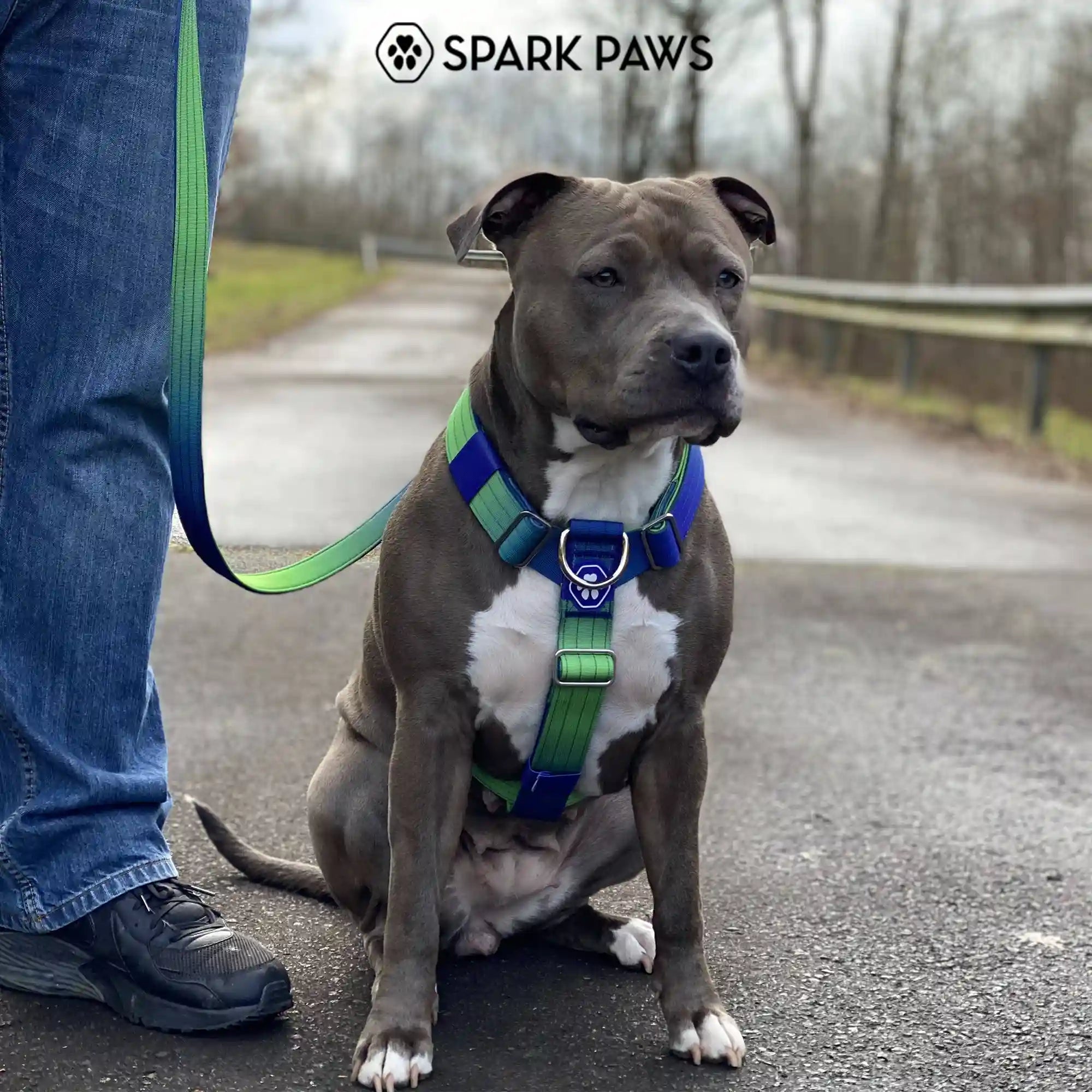 sparkpawsmaut.com