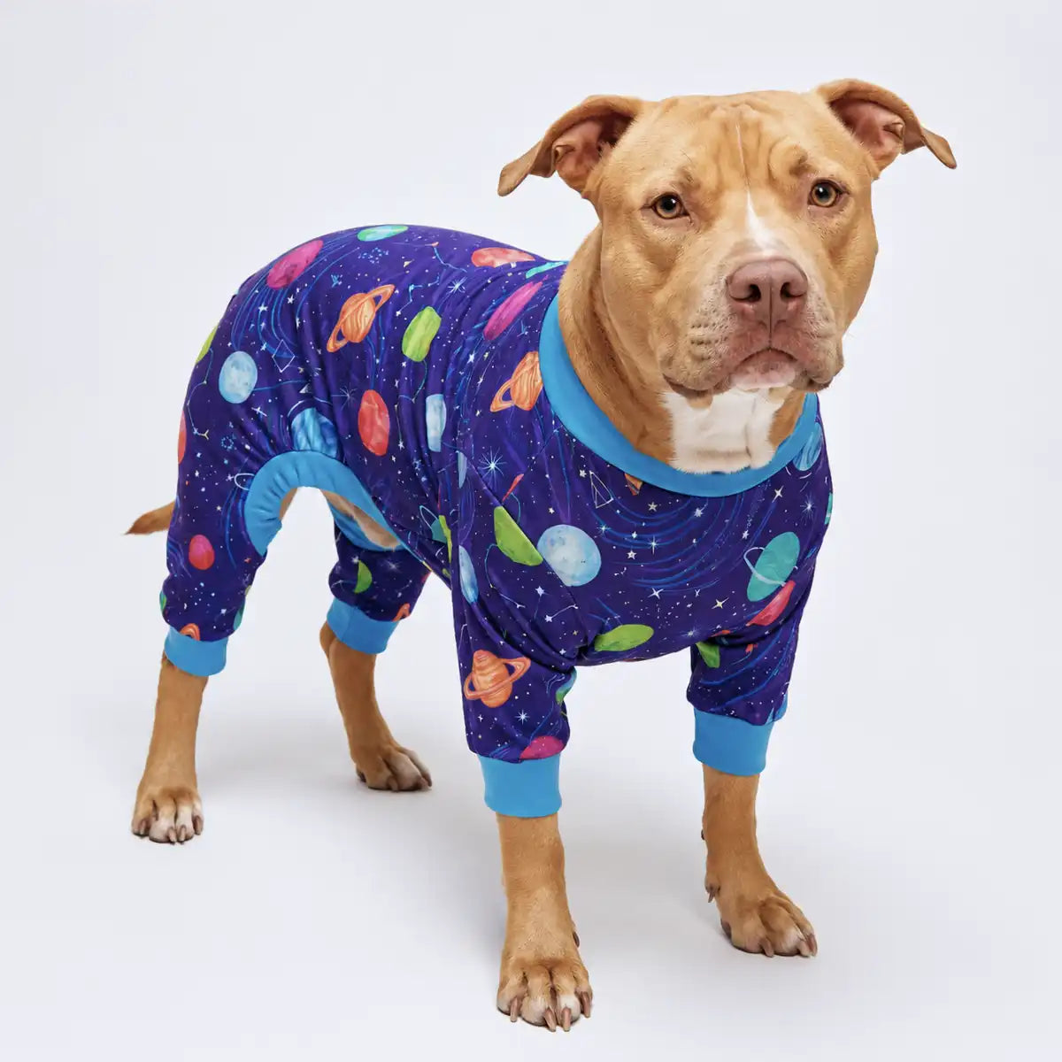 sparkpawsmaut.com