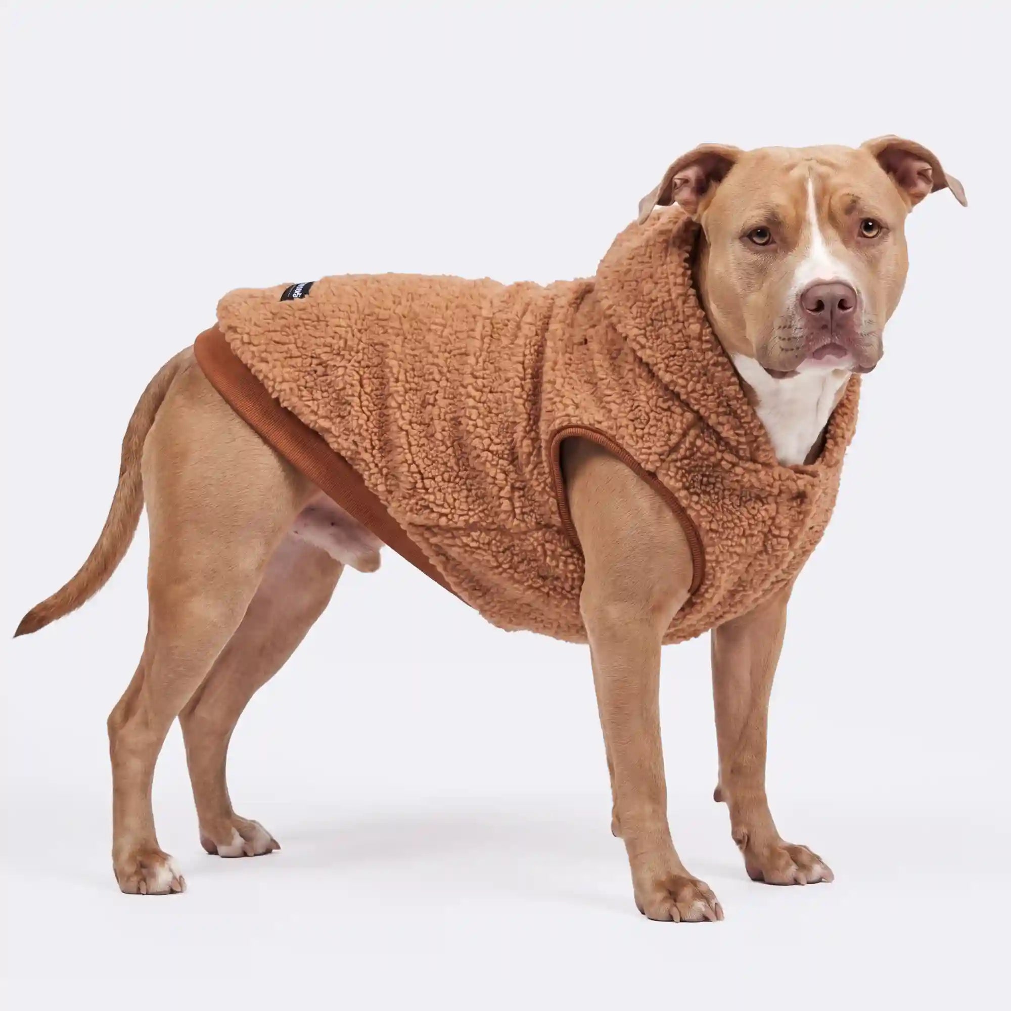 sparkpawsmaut.com