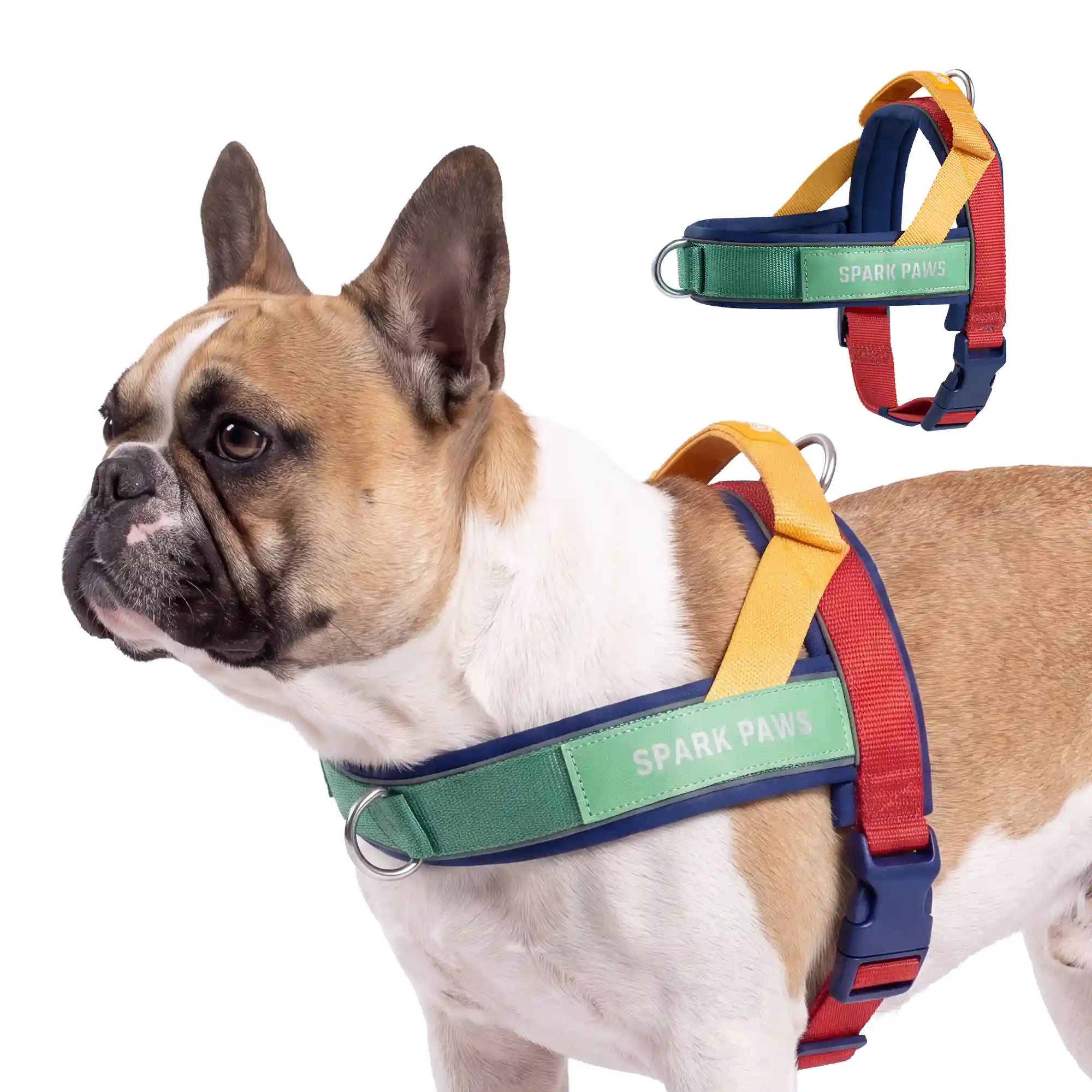 sparkpawsmaut.com