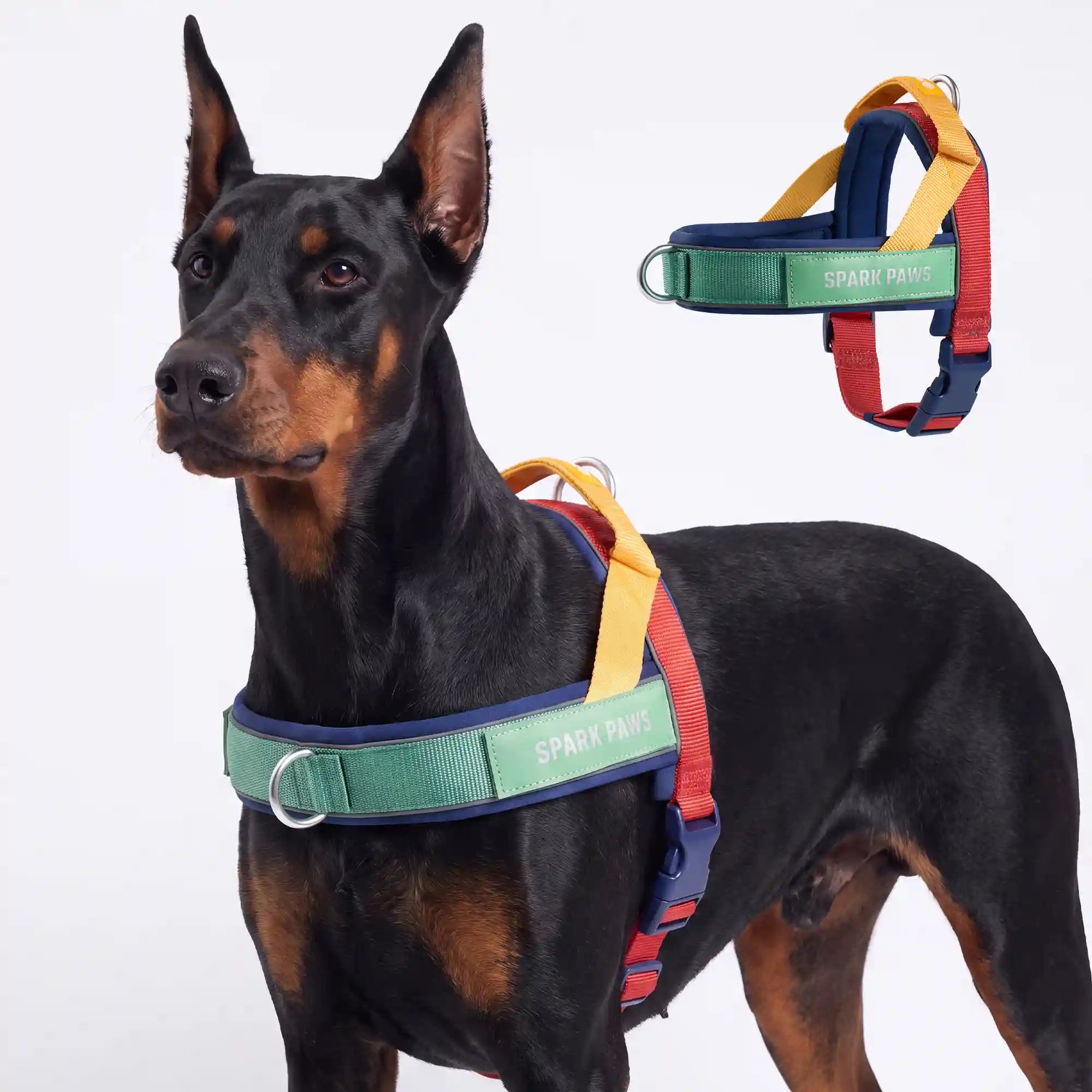 sparkpawsmaut.com