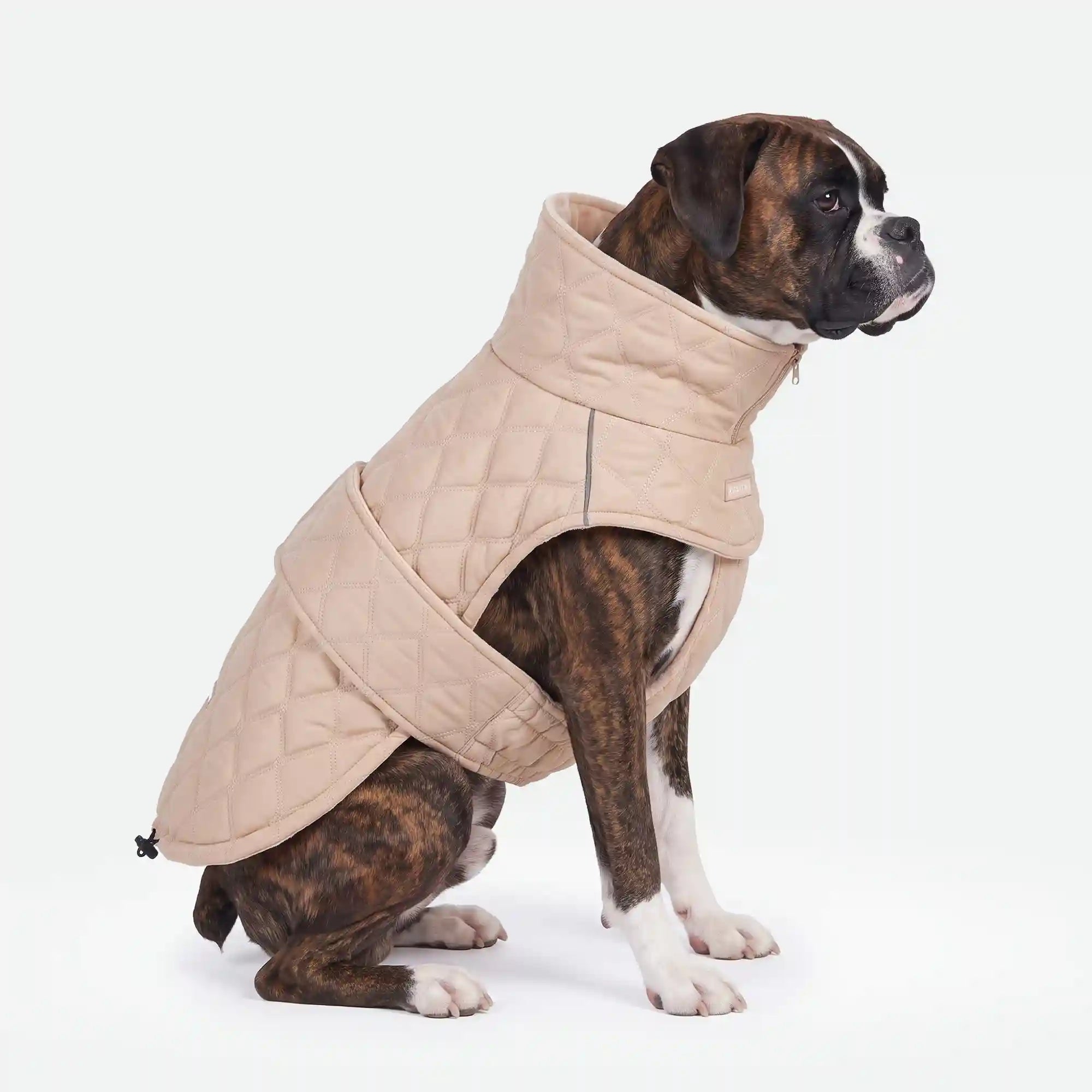 sparkpawsmaut.com