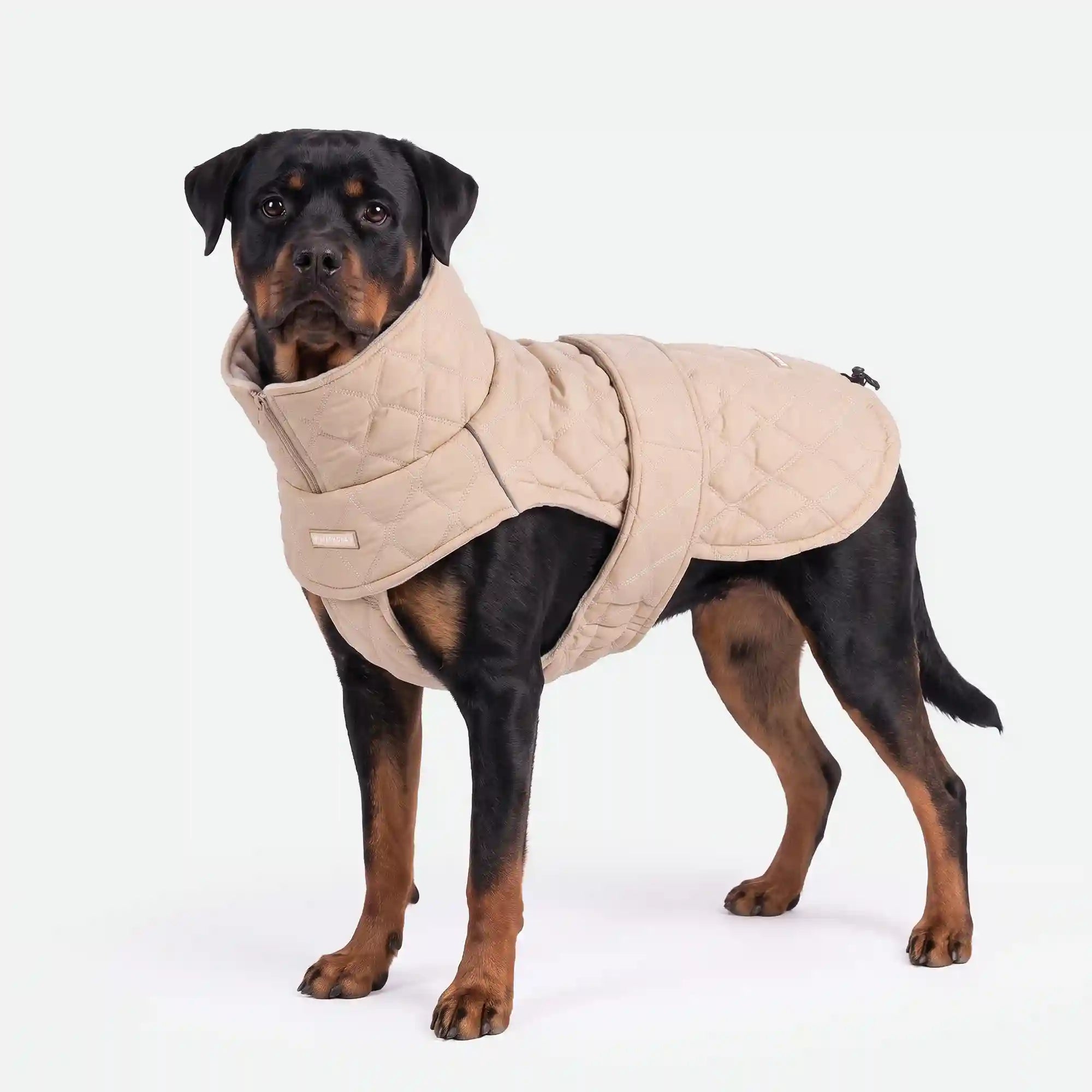 sparkpawsmaut.com