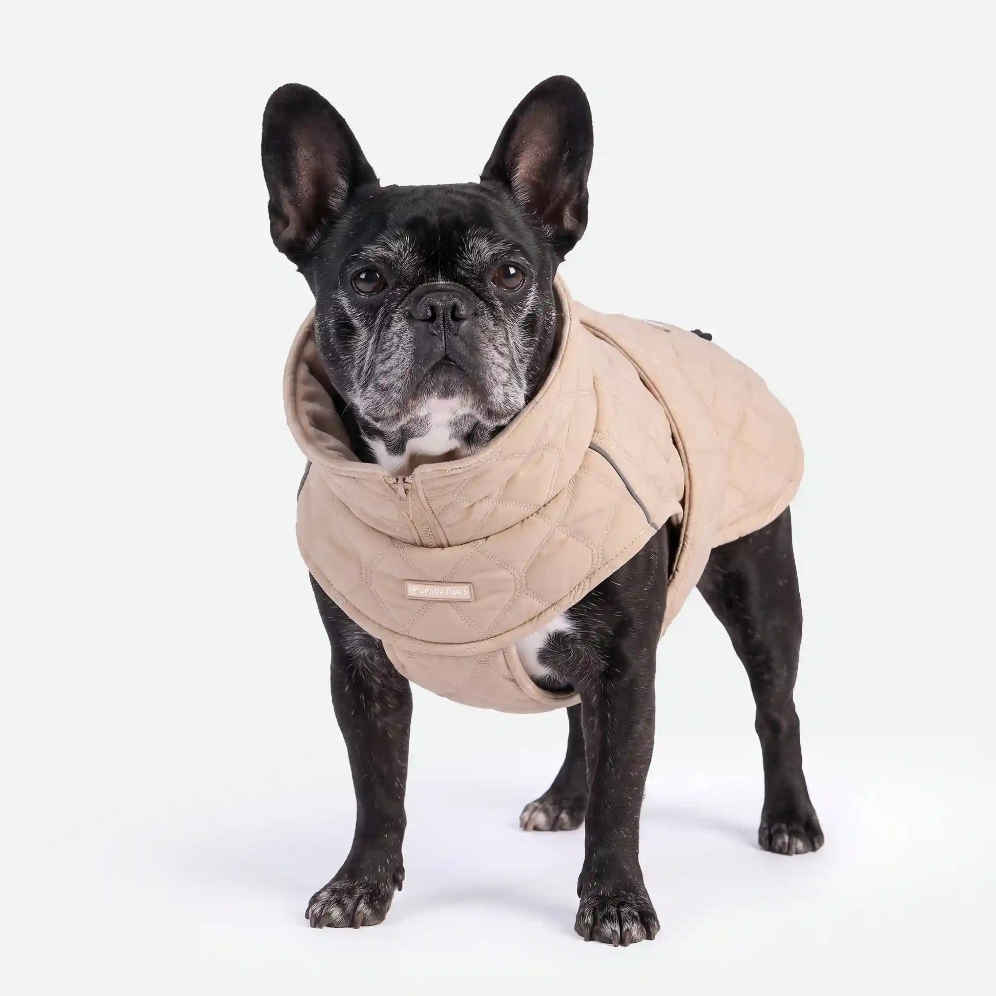 sparkpawsmaut.com
