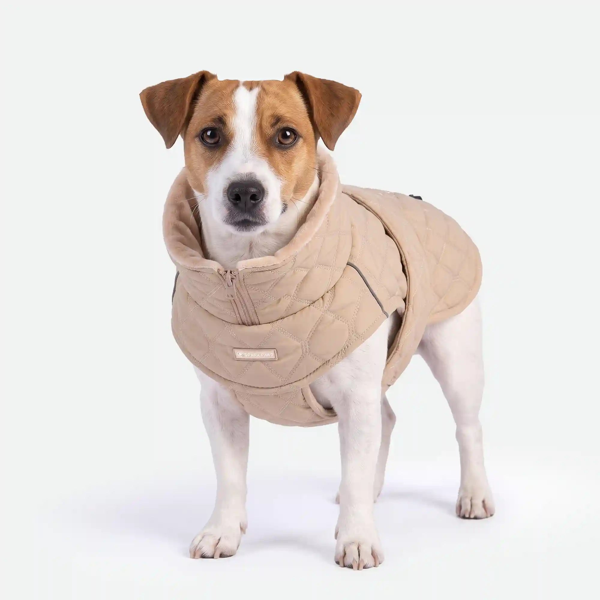 sparkpawsmaut.com