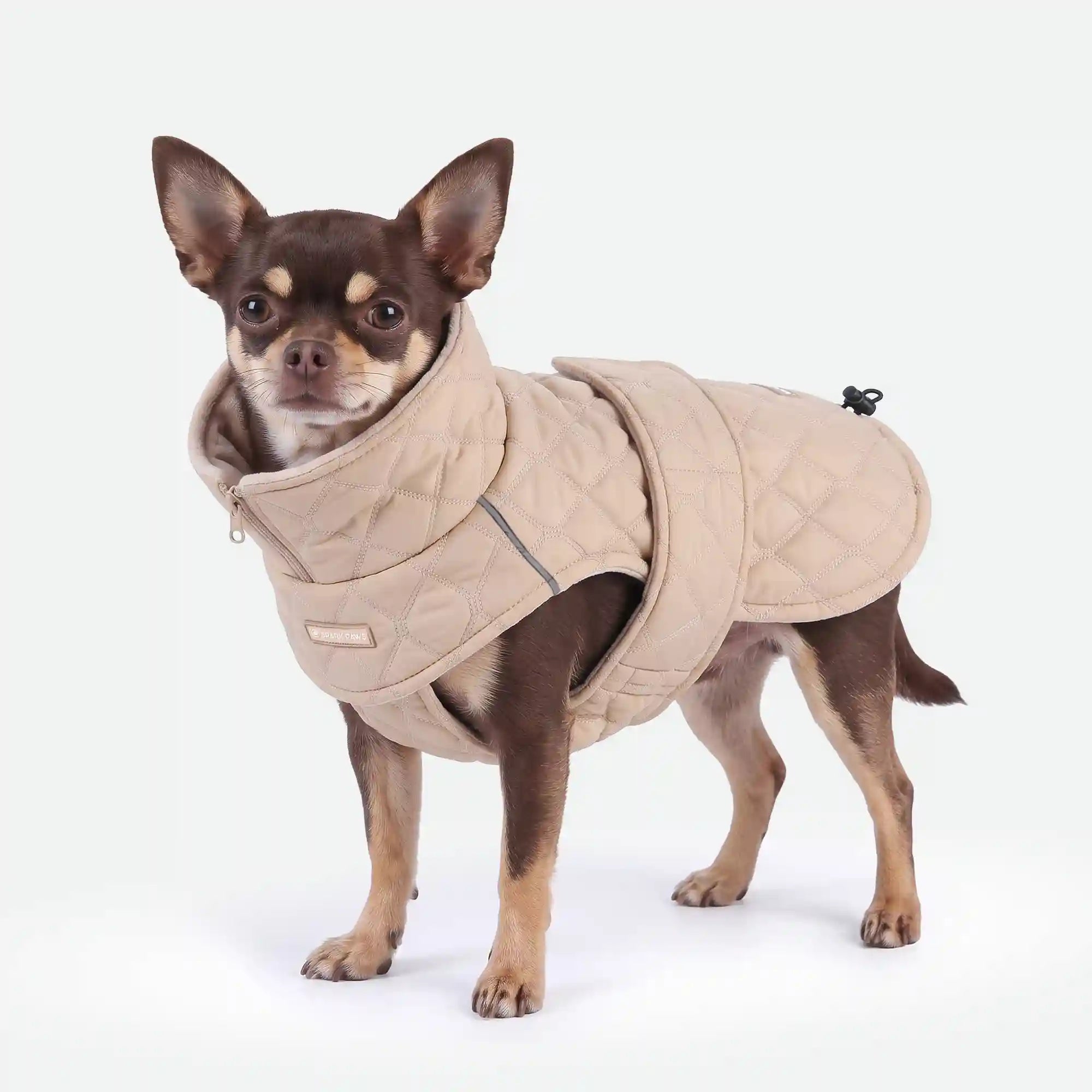 sparkpawsmaut.com