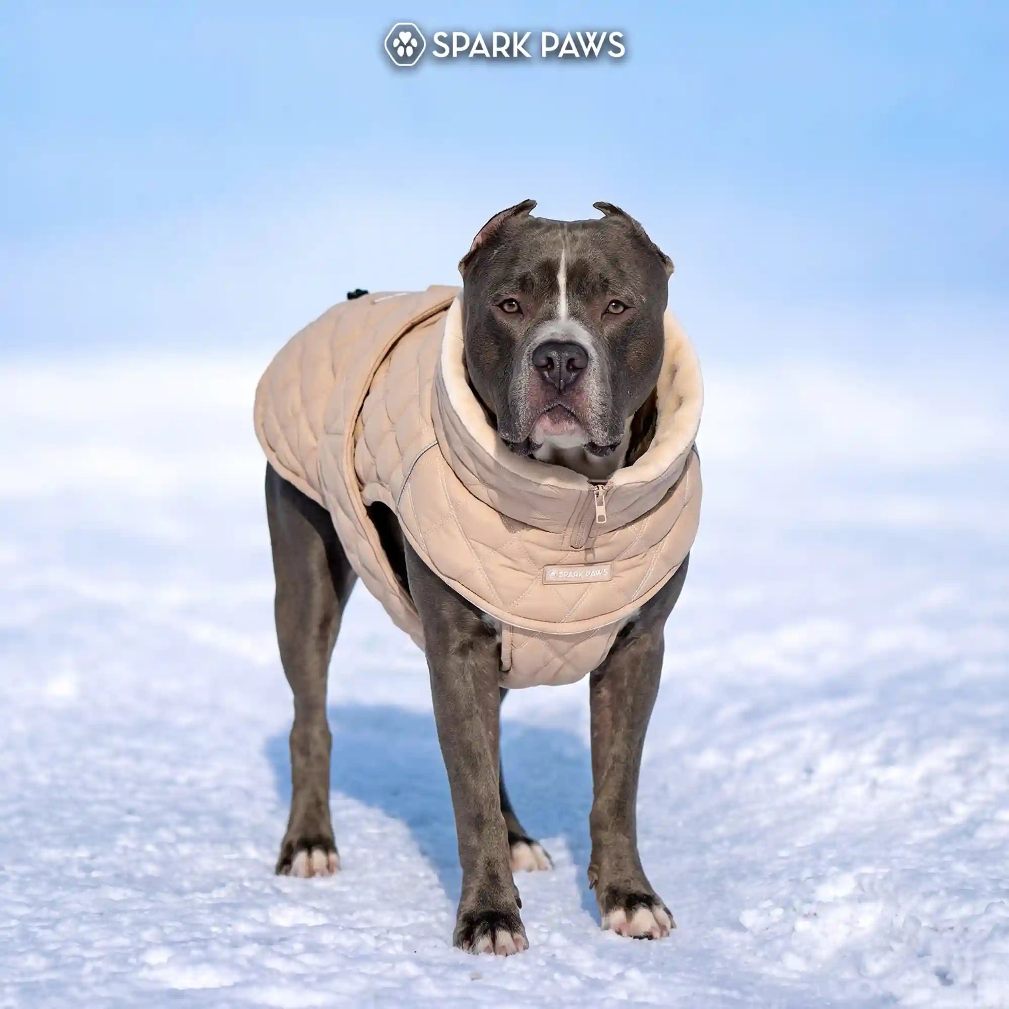 sparkpawsmaut.com