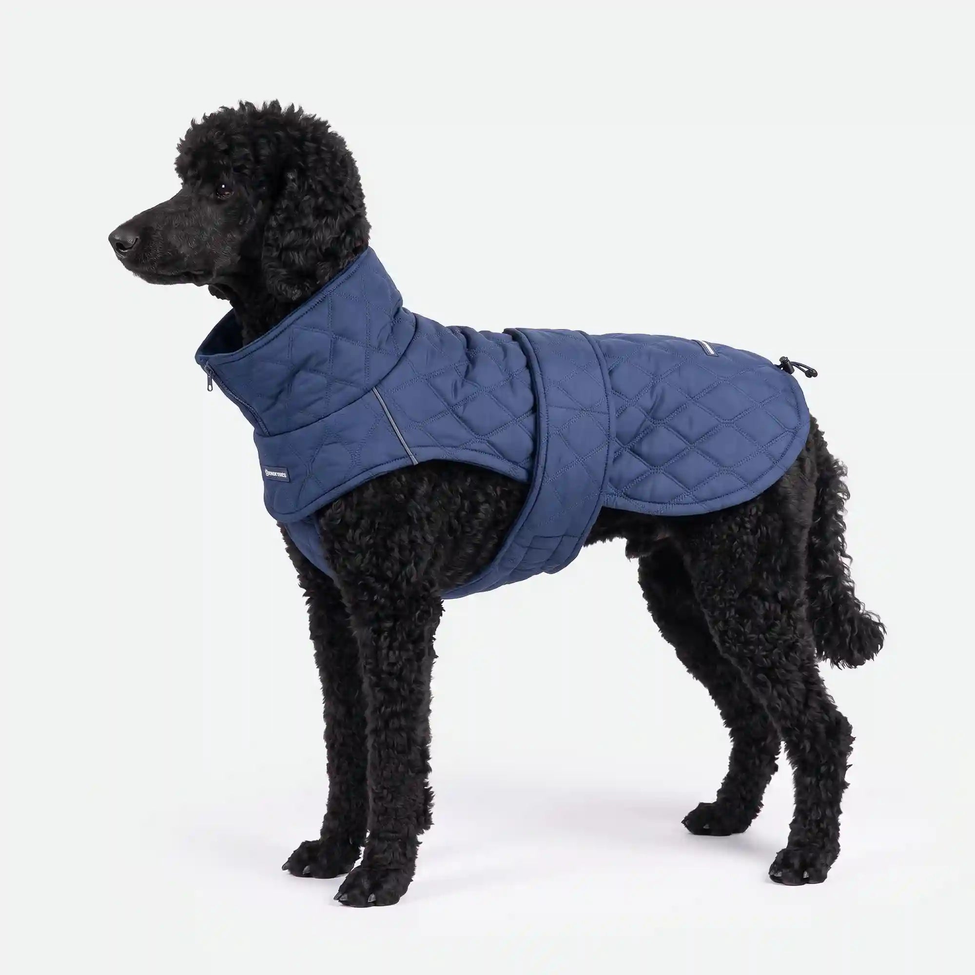sparkpawsmaut.com