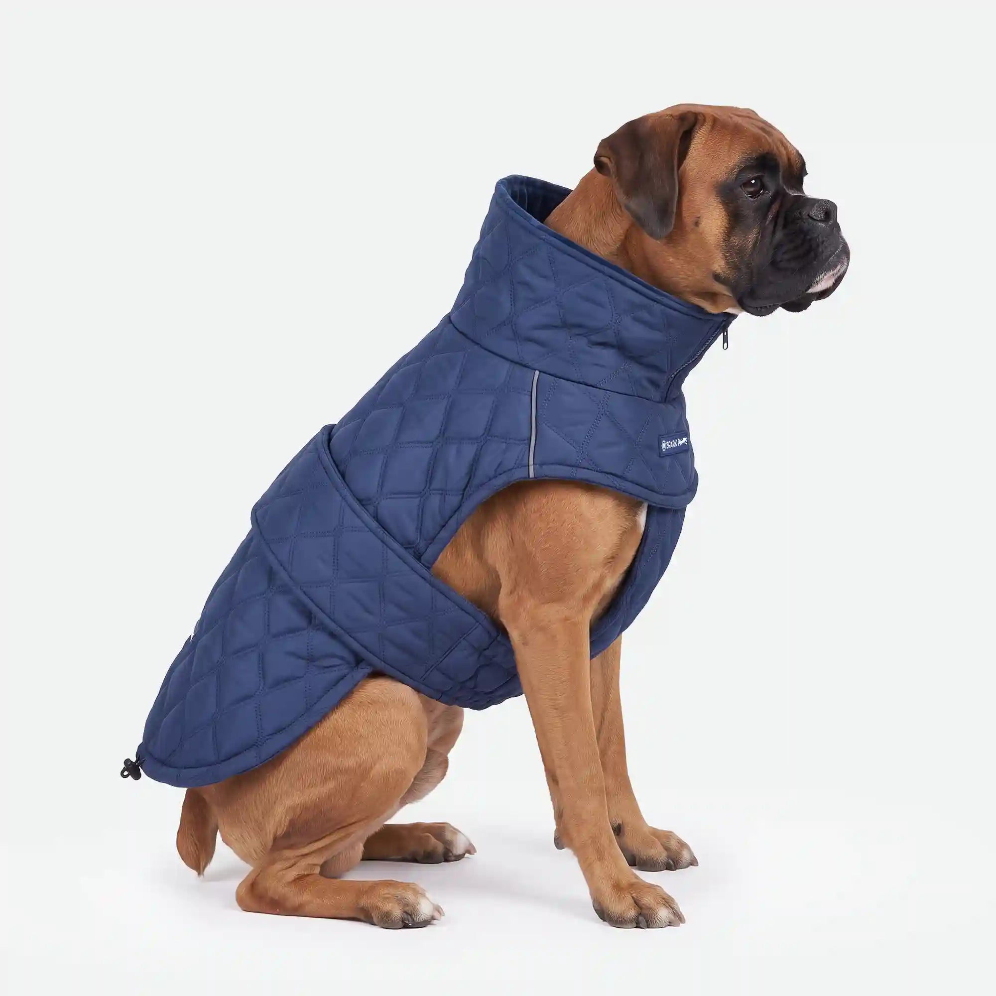 sparkpawsmaut.com