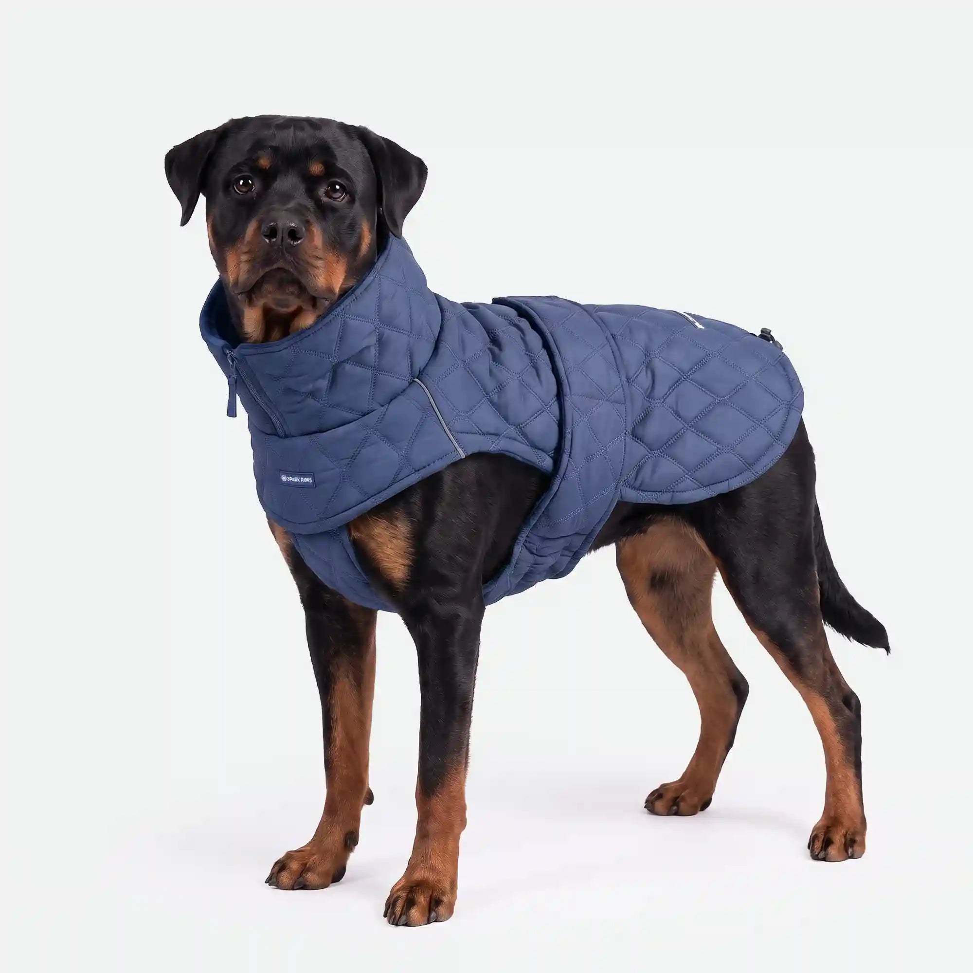 sparkpawsmaut.com