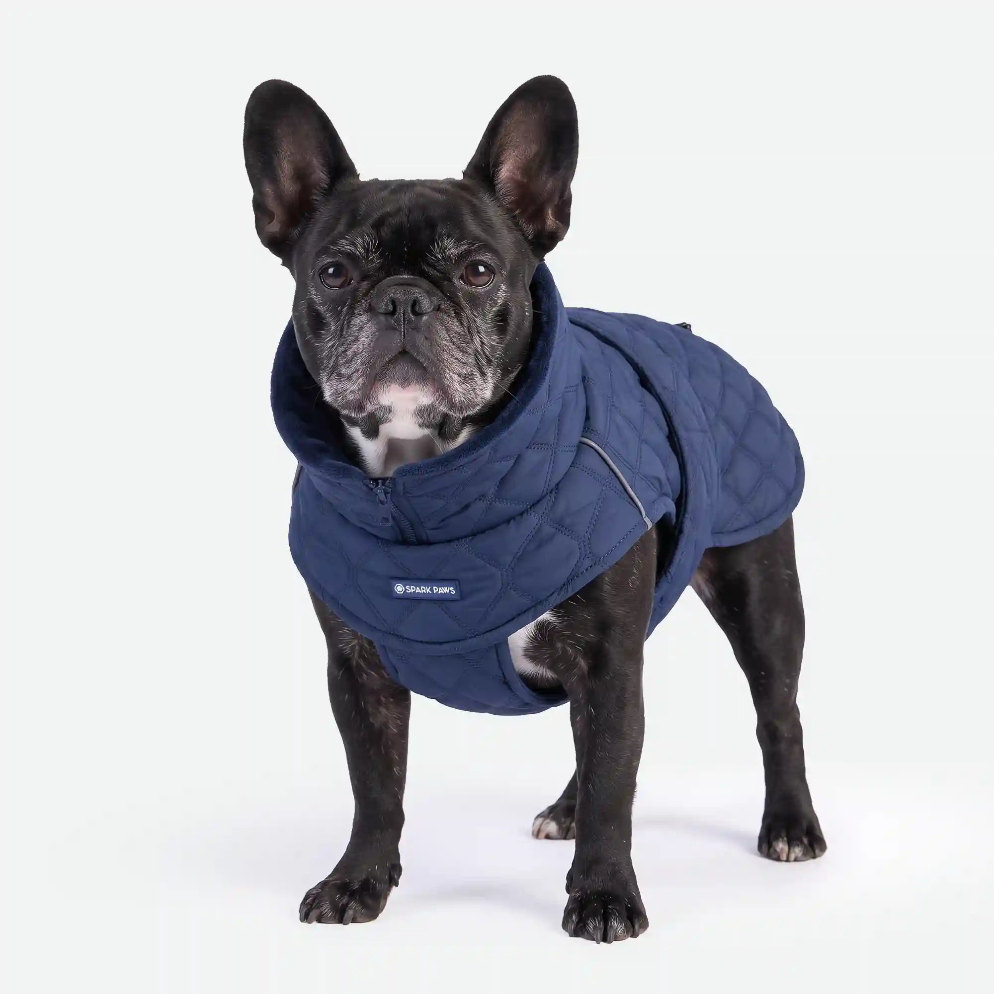 sparkpawsmaut.com
