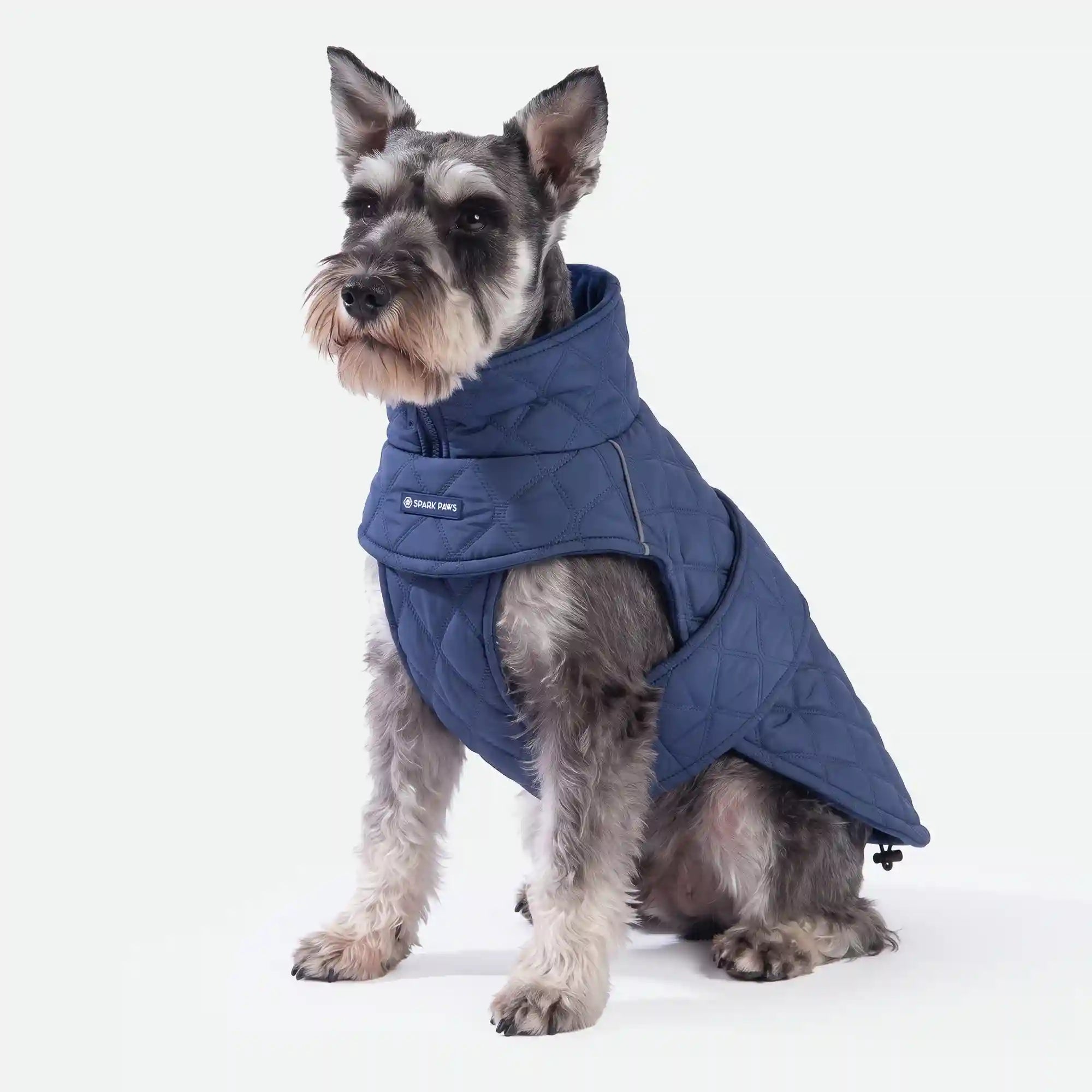 sparkpawsmaut.com
