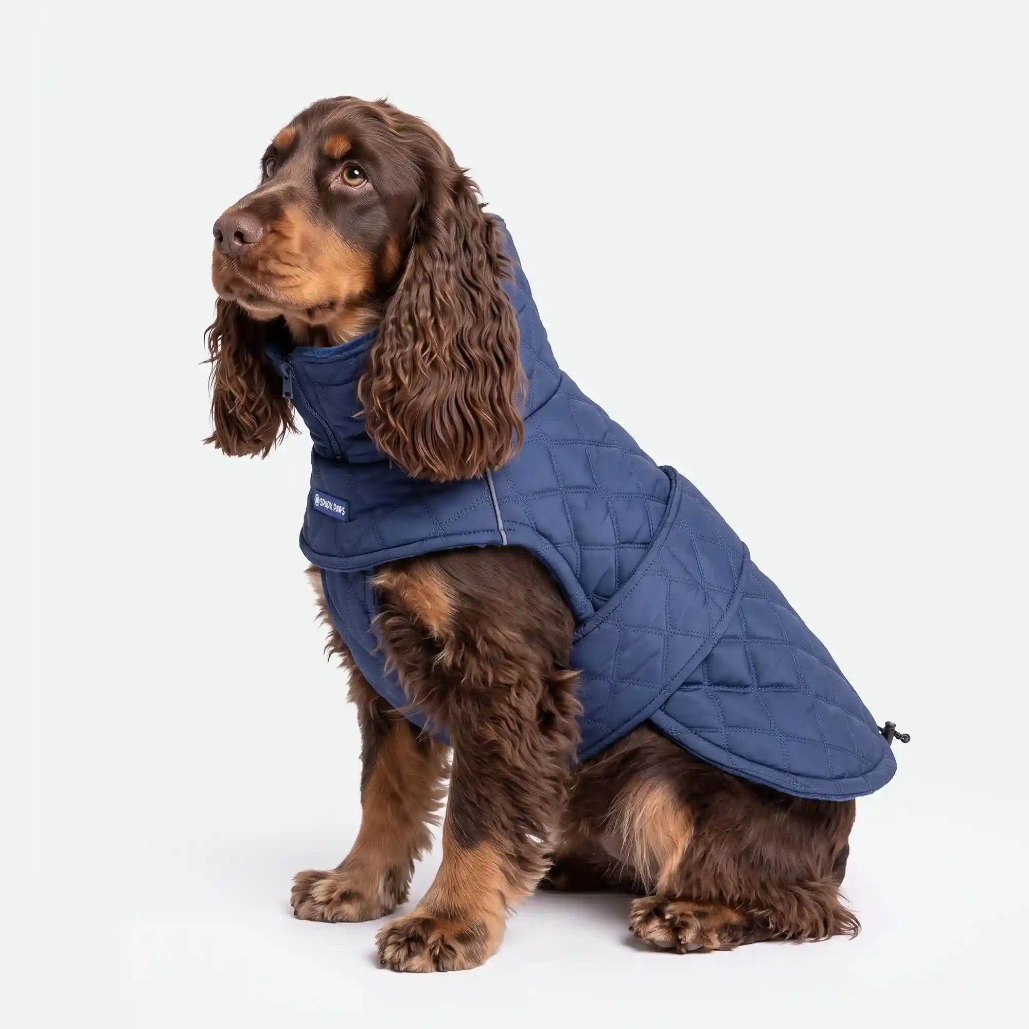 sparkpawsmaut.com