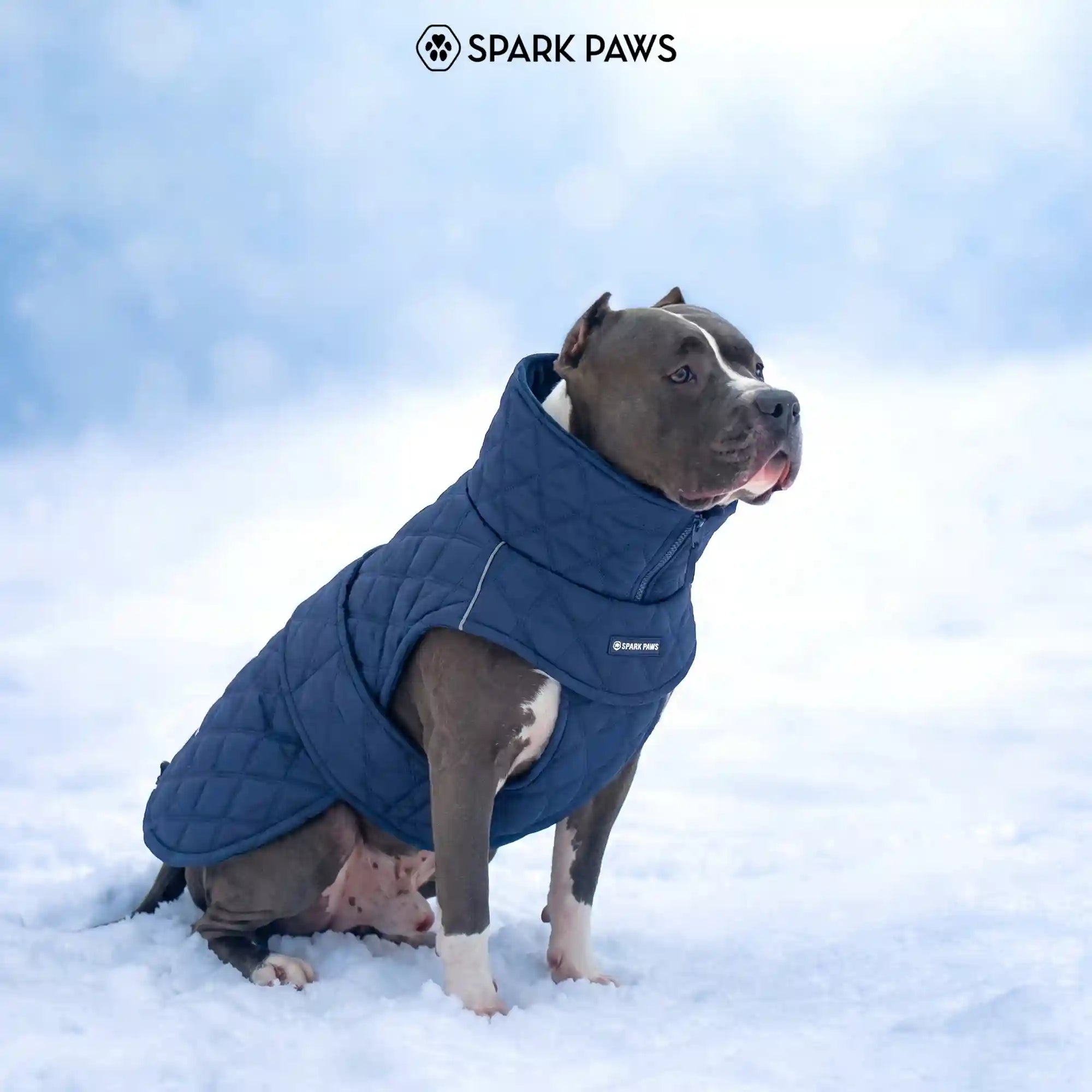 sparkpawsmaut.com
