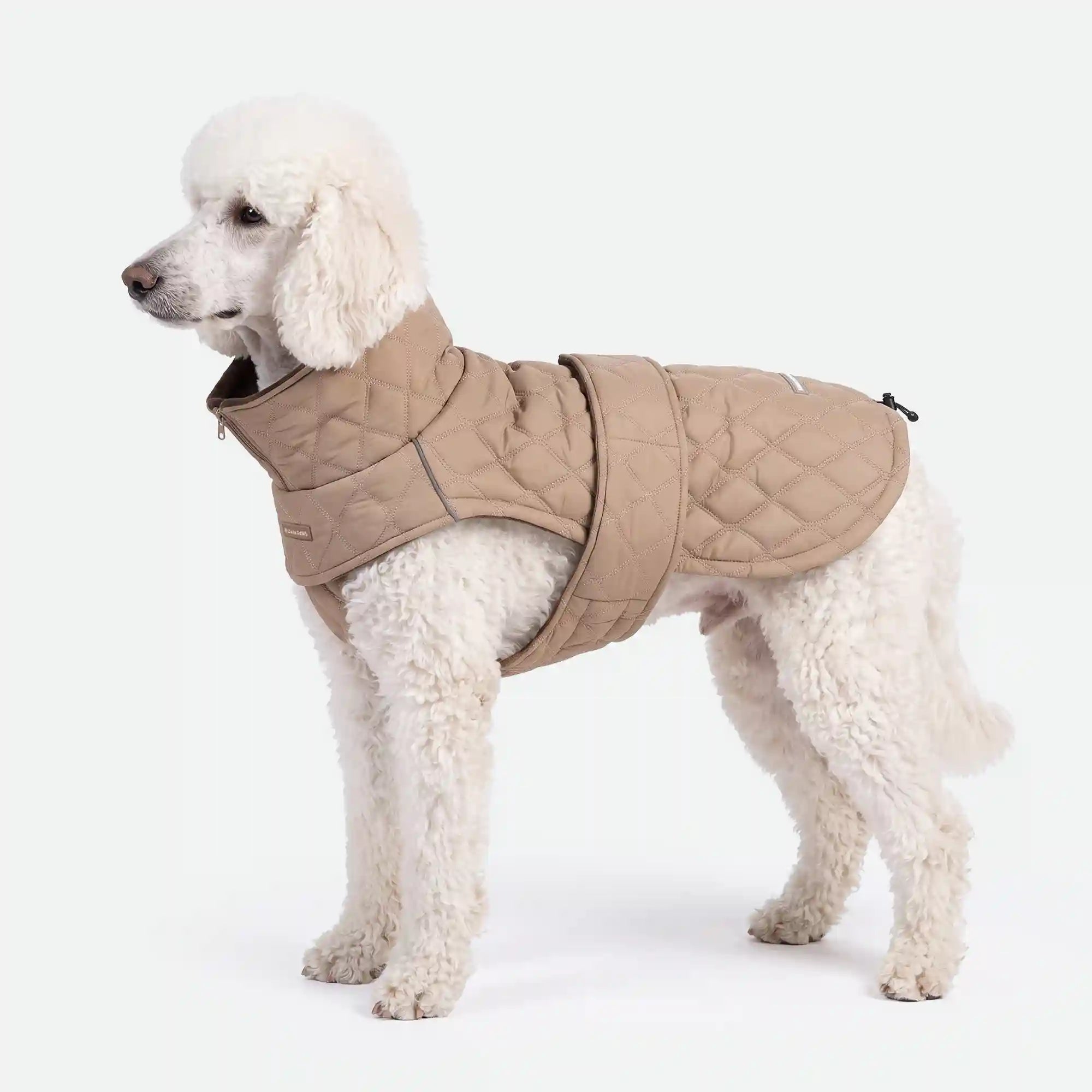 sparkpawsmaut.com