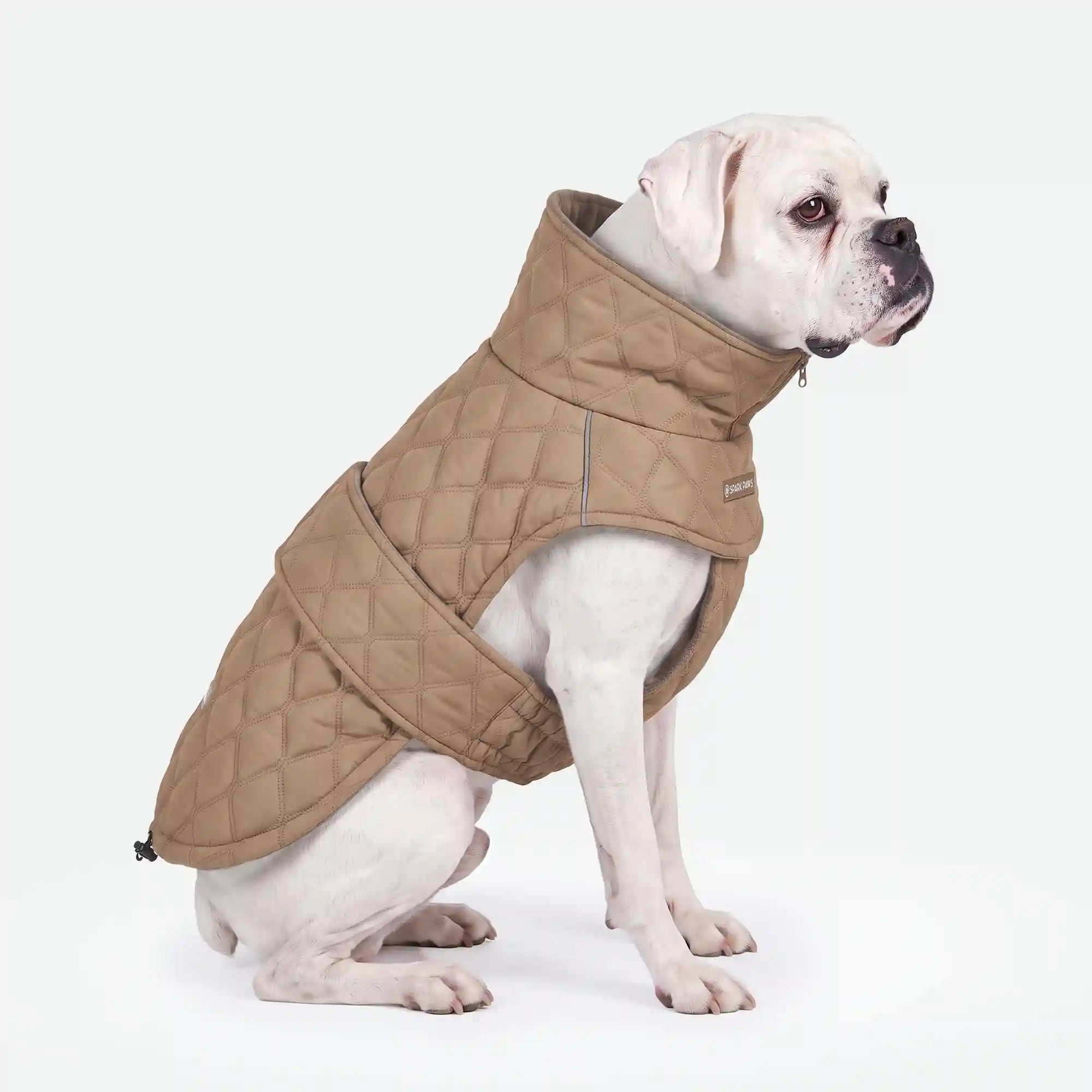 sparkpawsmaut.com